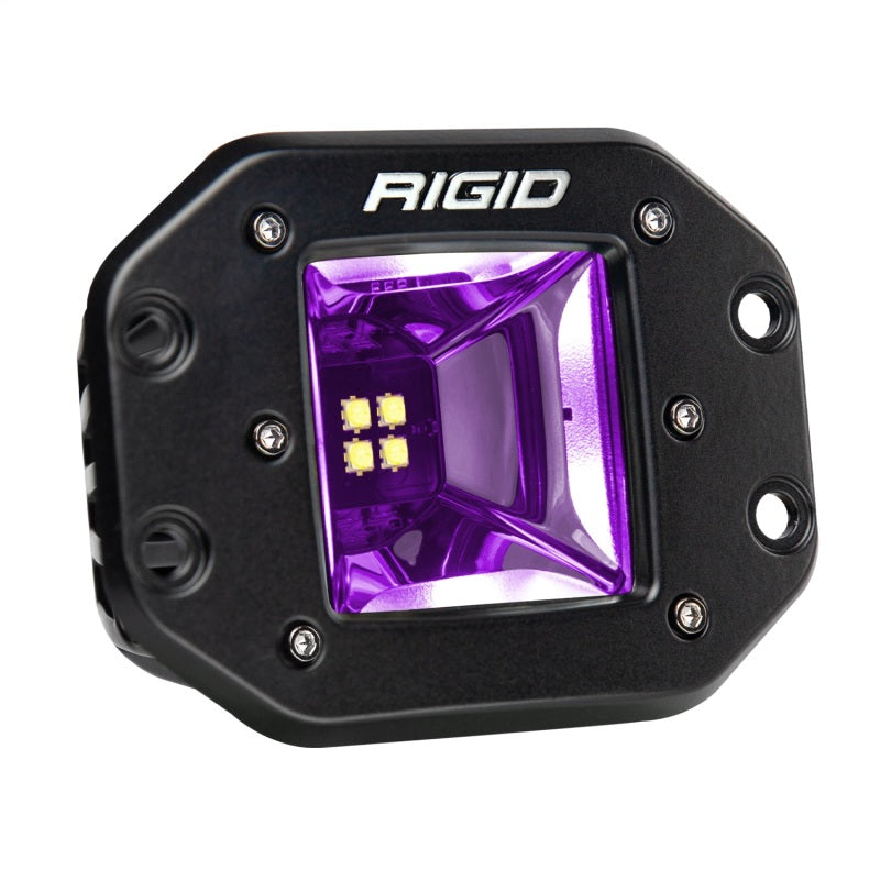 RIGID Radiance Plus Scene RGBW Light Pair, Flush Mount