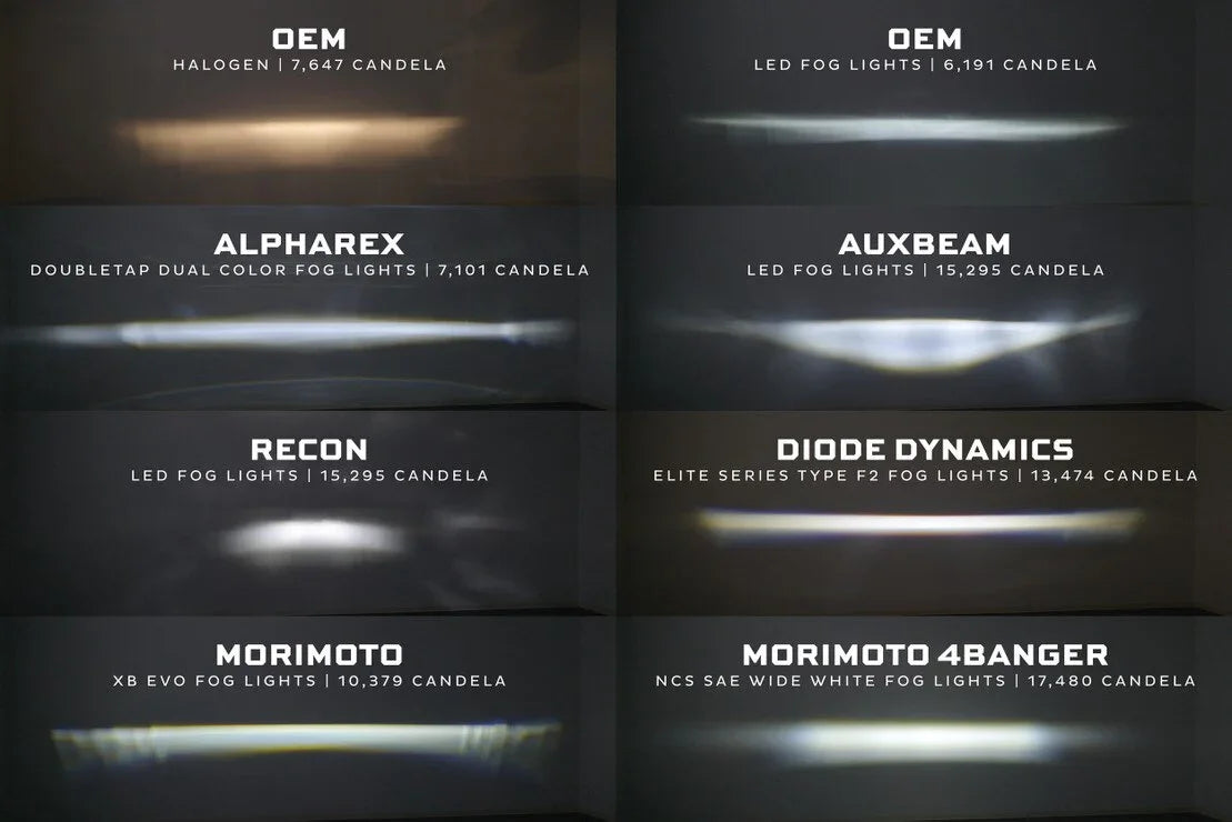 Comparison of LED and halogen fog light beam patterns and brightness from various brands including OEM, Alpharex, Auxbeam, Recon, Diode Dynamics, and Morimoto, shown against a wall.