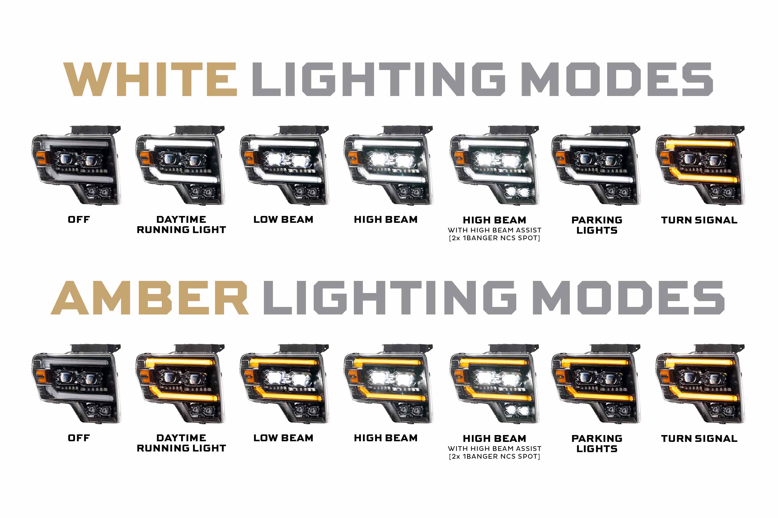 Morimoto Ford (10-14) SVT Raptor XB Evo LED Headlights