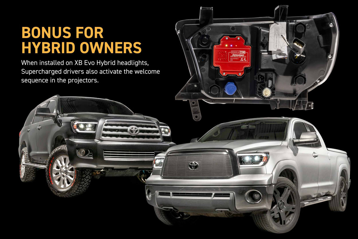 Morimoto Supercharged Drivers 07-13 Tundra / 08-17 Sequoia XB Evo