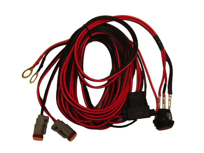 RIGID Wiring Harness for D-Series and SR-Q Series Pairs, 14 ft.