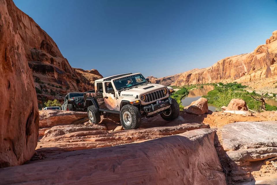 Jeep Gladiator 3.5" Triple Rate Rear Coil Springs (2020+, JT)