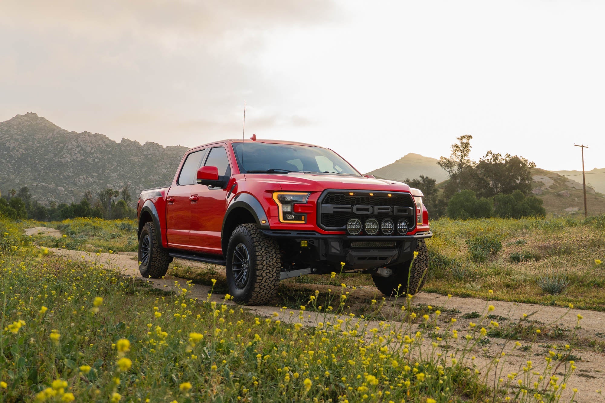 2017-2020-Ford-F-150-Raptor-Tube-Front-Bumper-Installed-5 - NVMOS