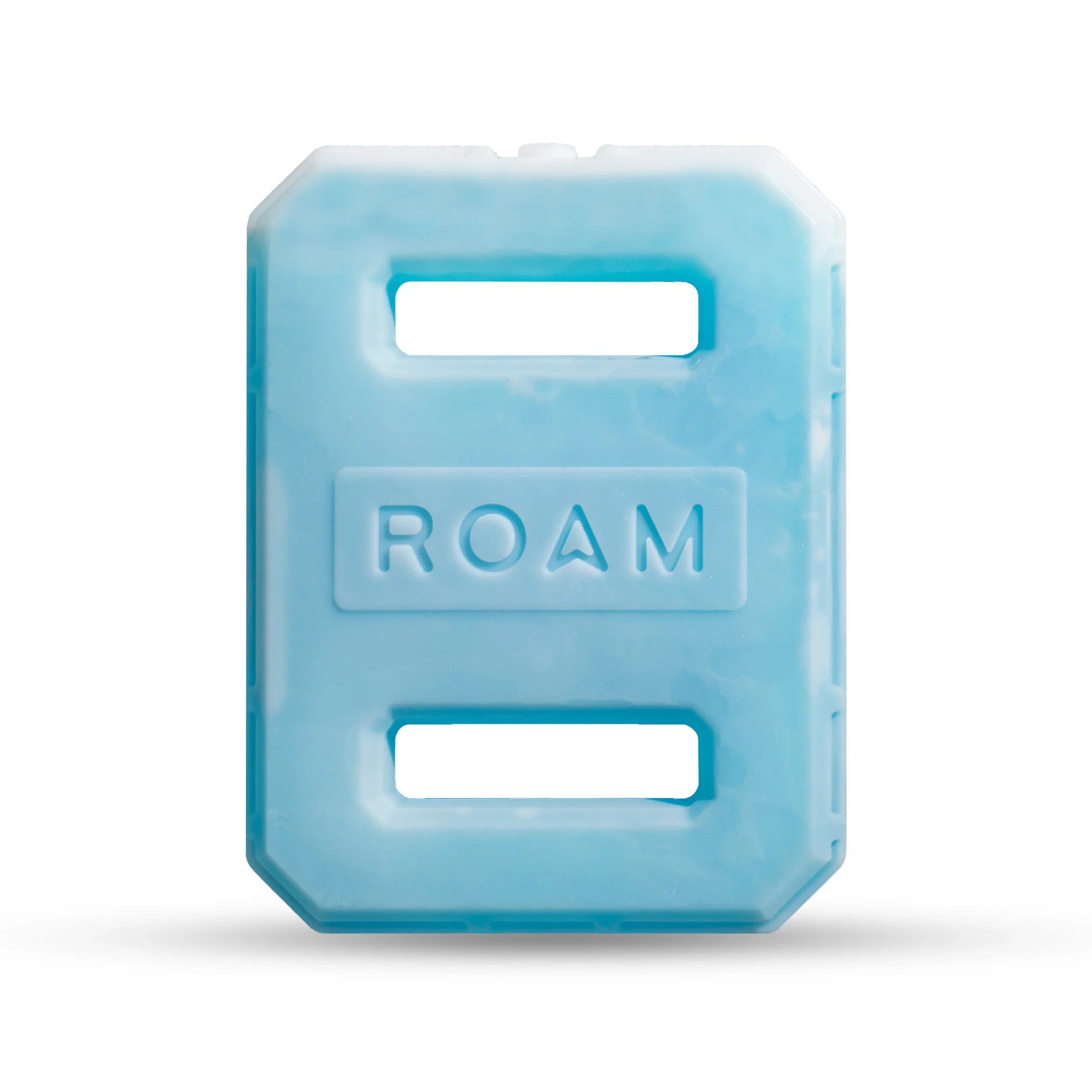 Blue reusable ice pack with two handles and ROAM logo, ideal for camping coolers.