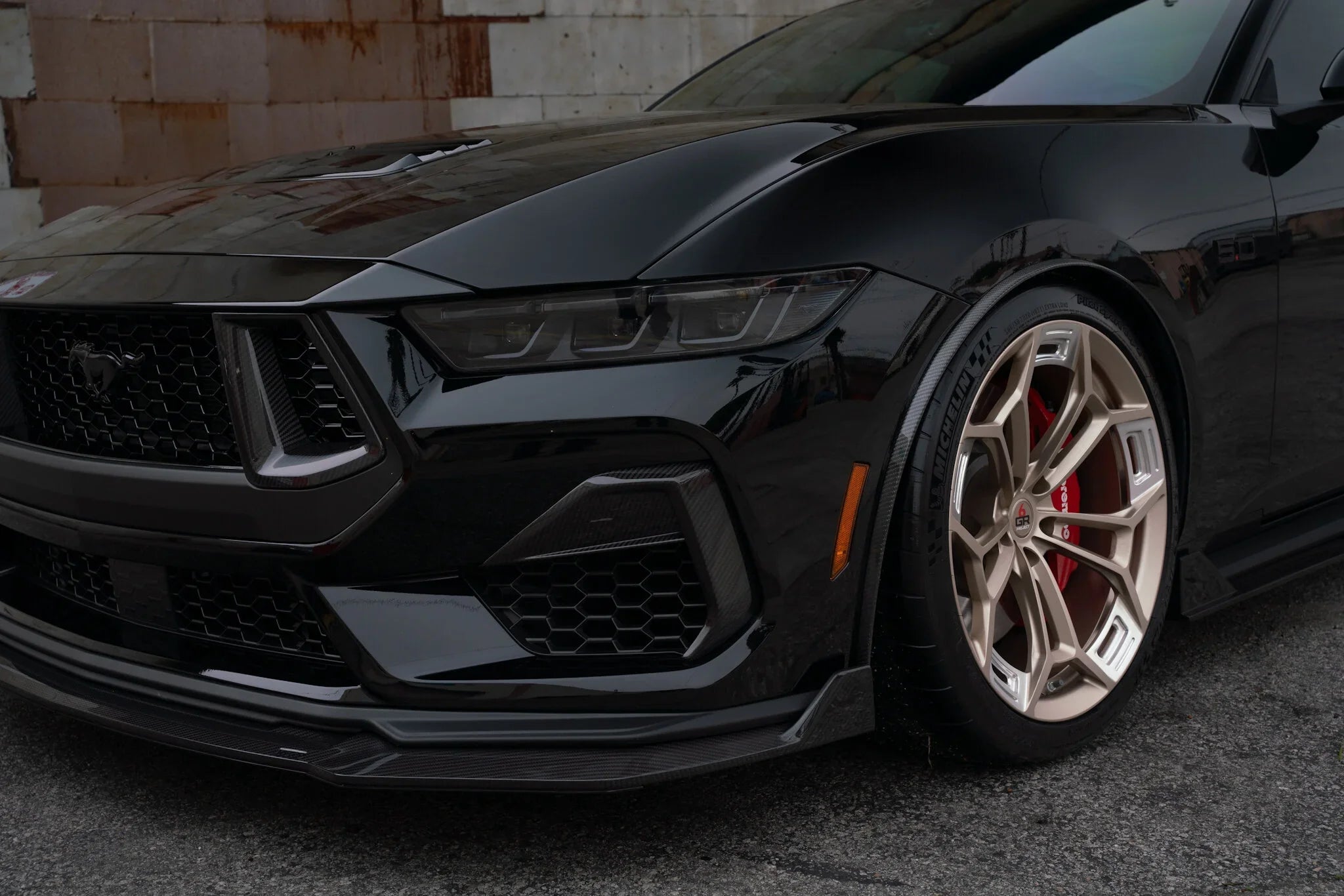 2024-Current Ford Mustang GT Dry Carbon Grille Inserts