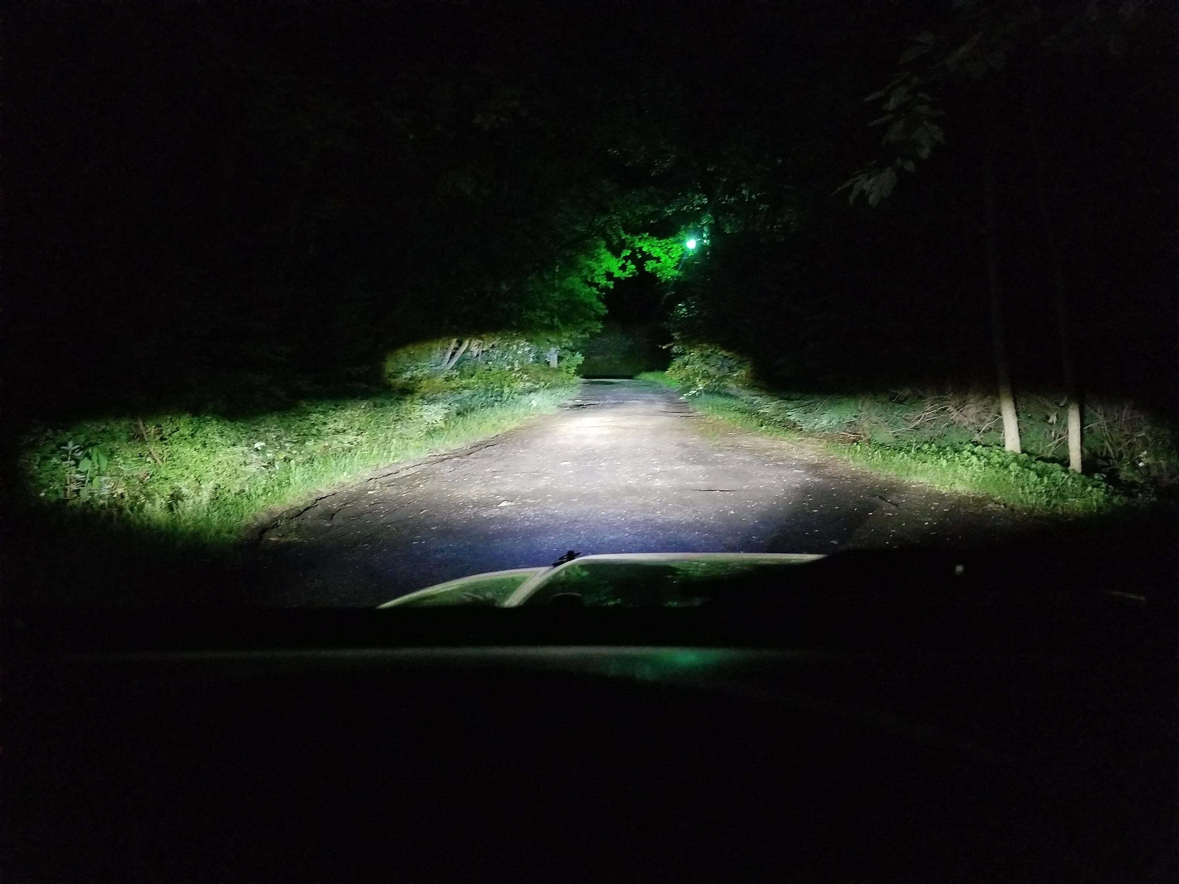 Vehicle headlights illuminating a forest trail at night, ideal for overlanding adventure