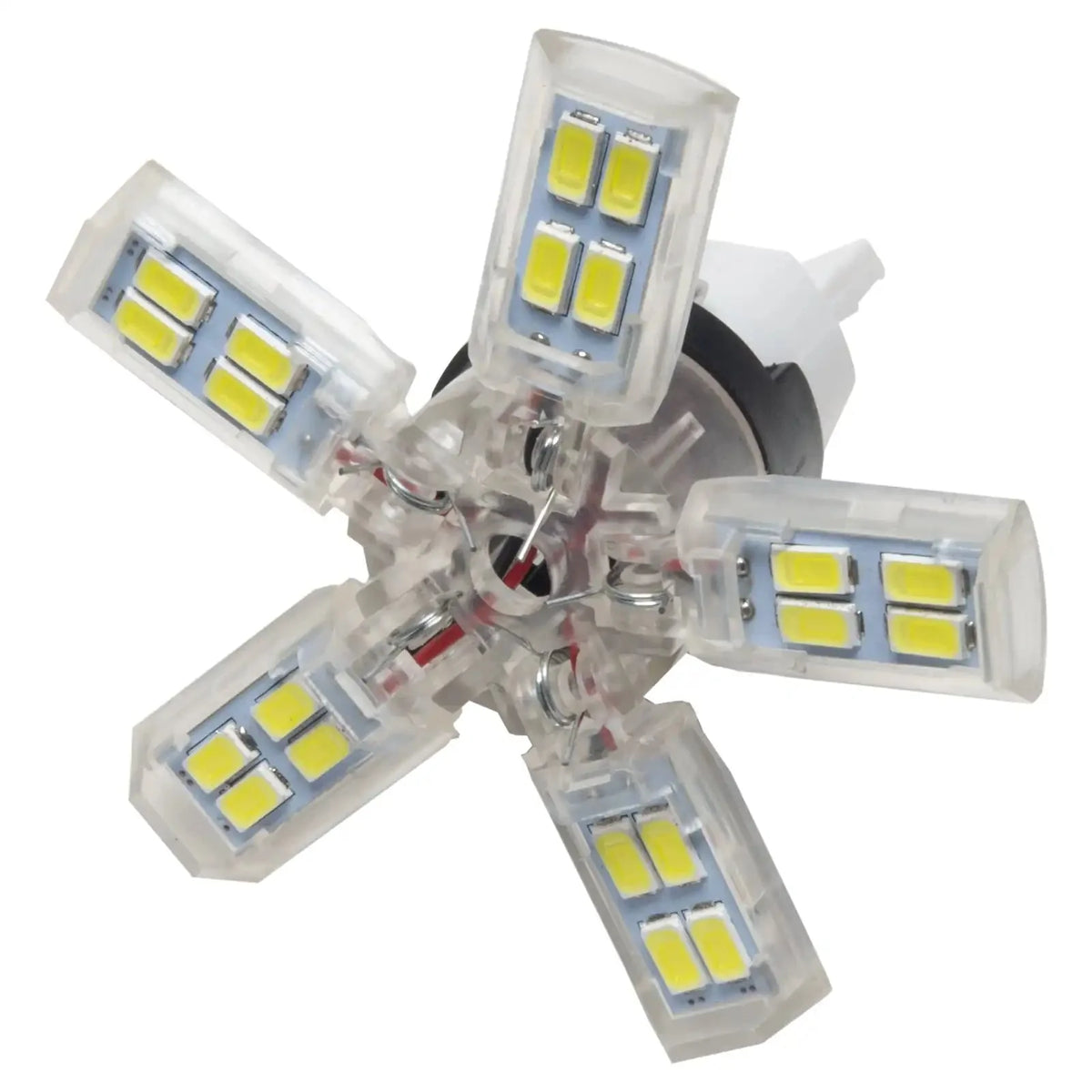 ORACLE 7440 24 SMD spider bulb, cool white, for universal fit