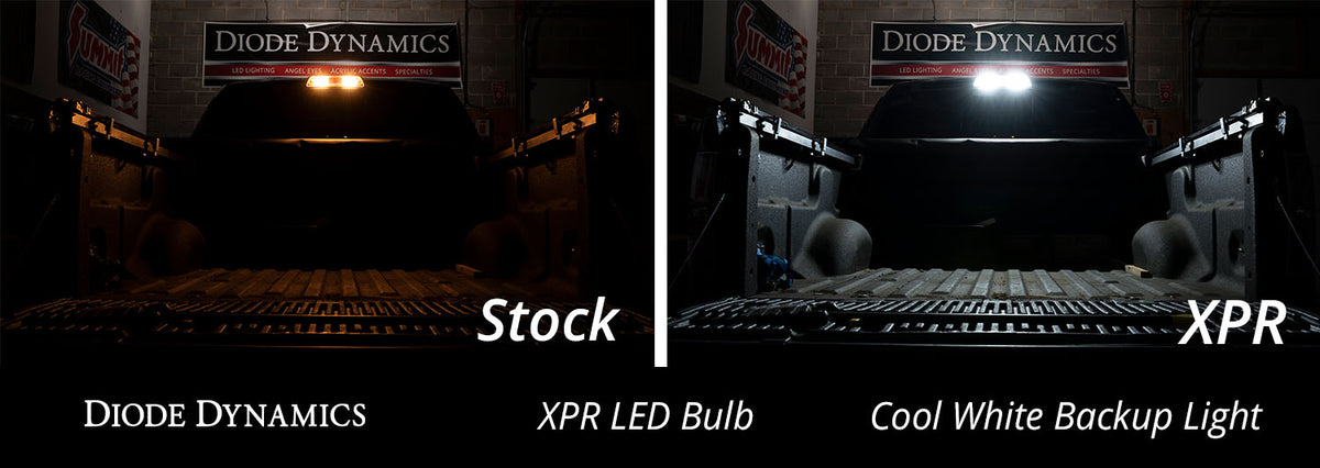Diode Dynamics 921 XPR LED bulbs for trucks and SUVs – color options