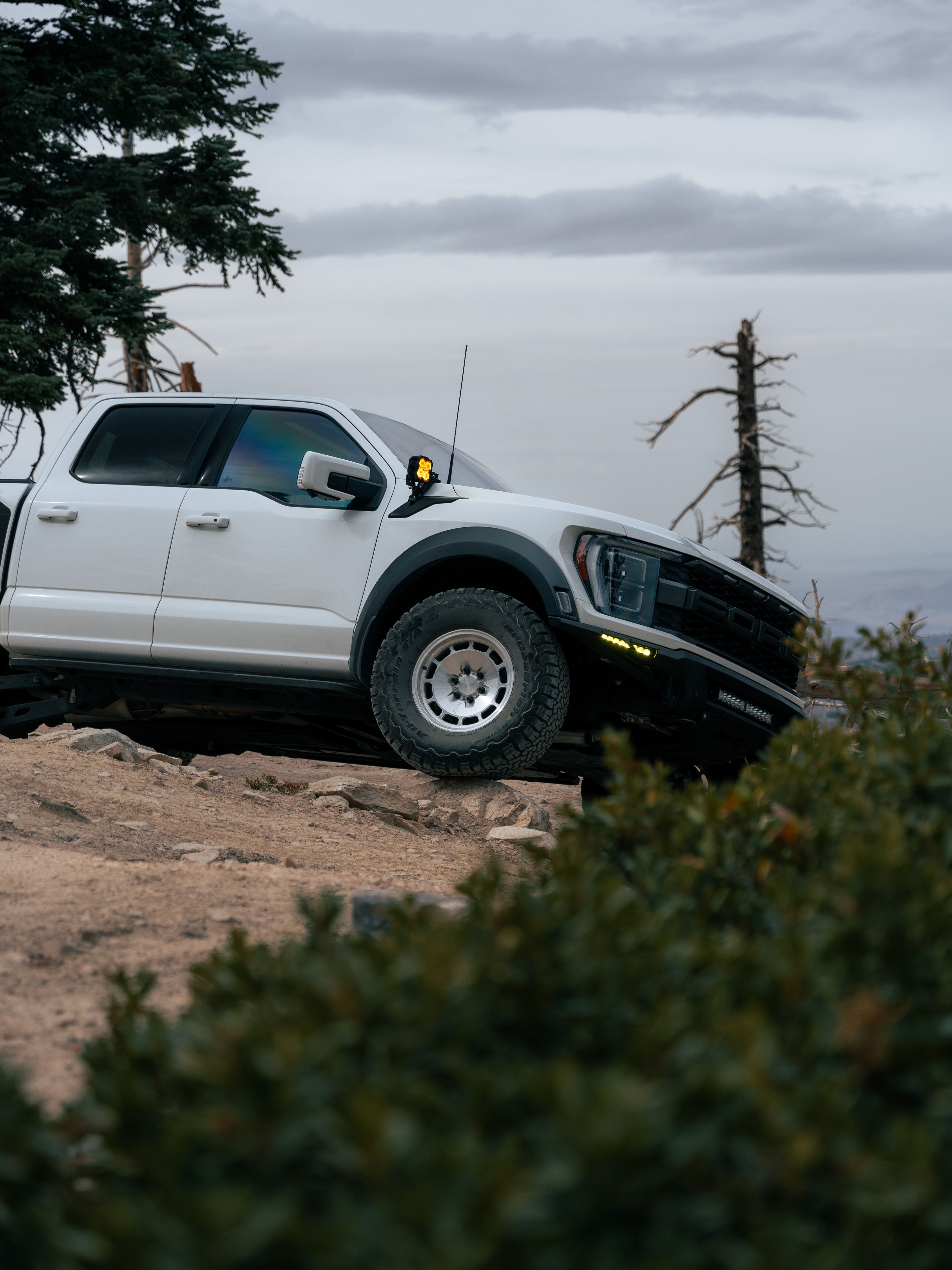ADV-Classic 17 inch 6x135 (Ford F150)