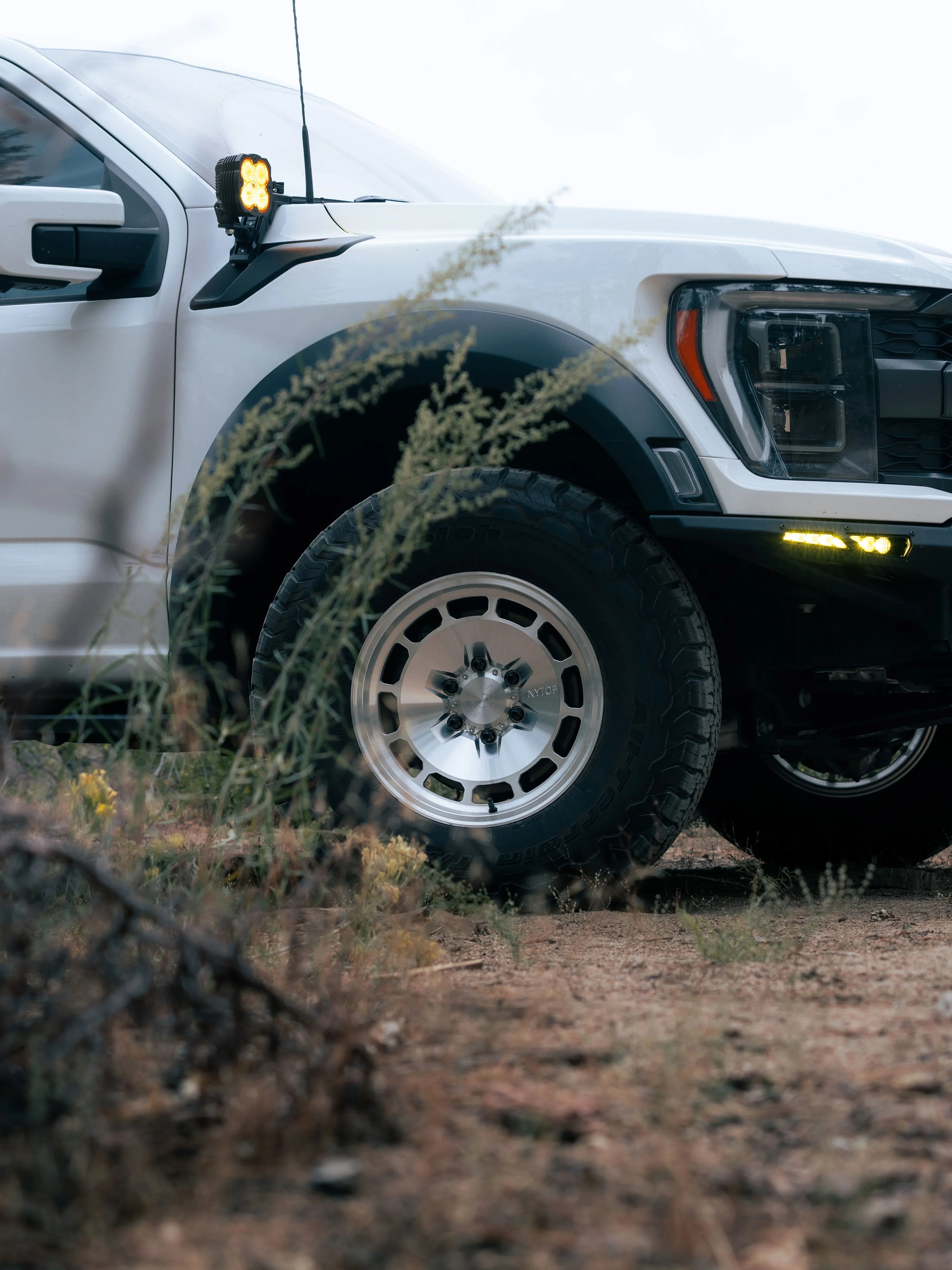ADVRaptor2 - NVMOS
