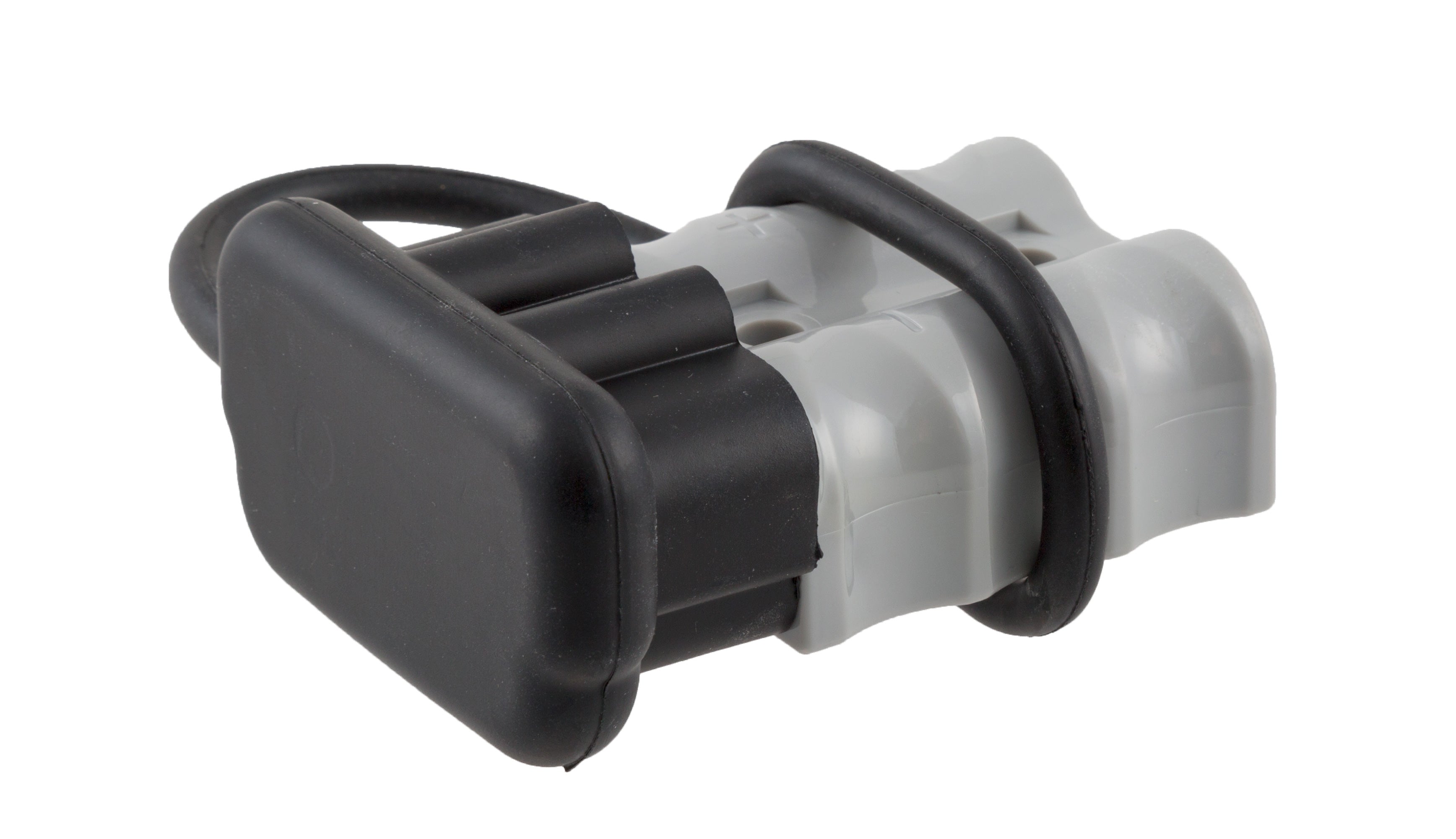 BSP00303 - NVMOS