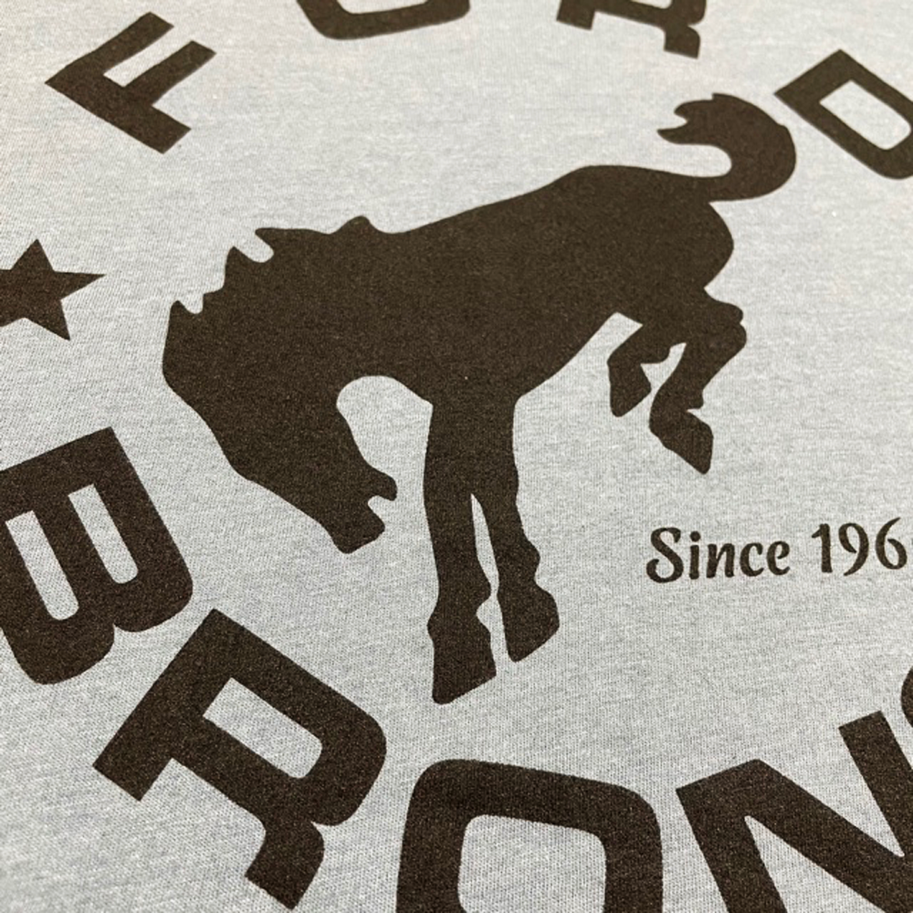 Sudadera con capucha para hombre Ford Bronco Circle en color azul pedernal