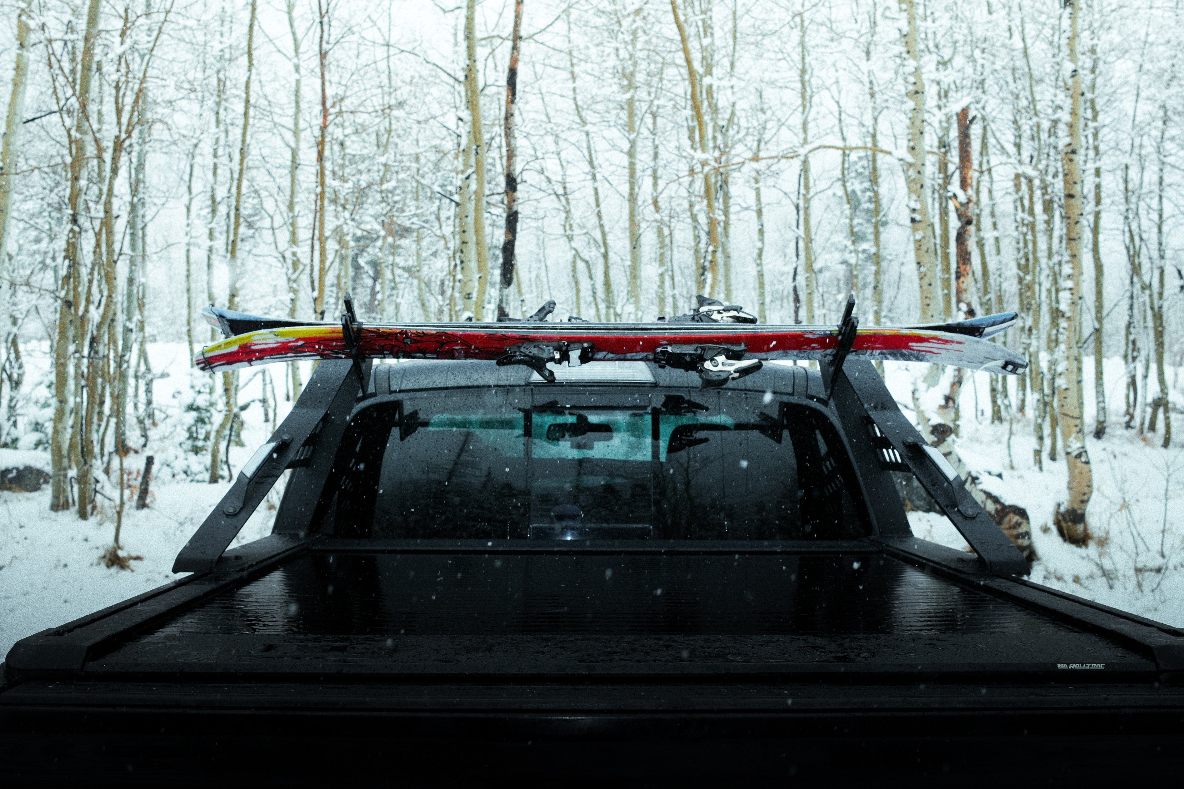 Ski/Snowboard Mount (Set of 2)