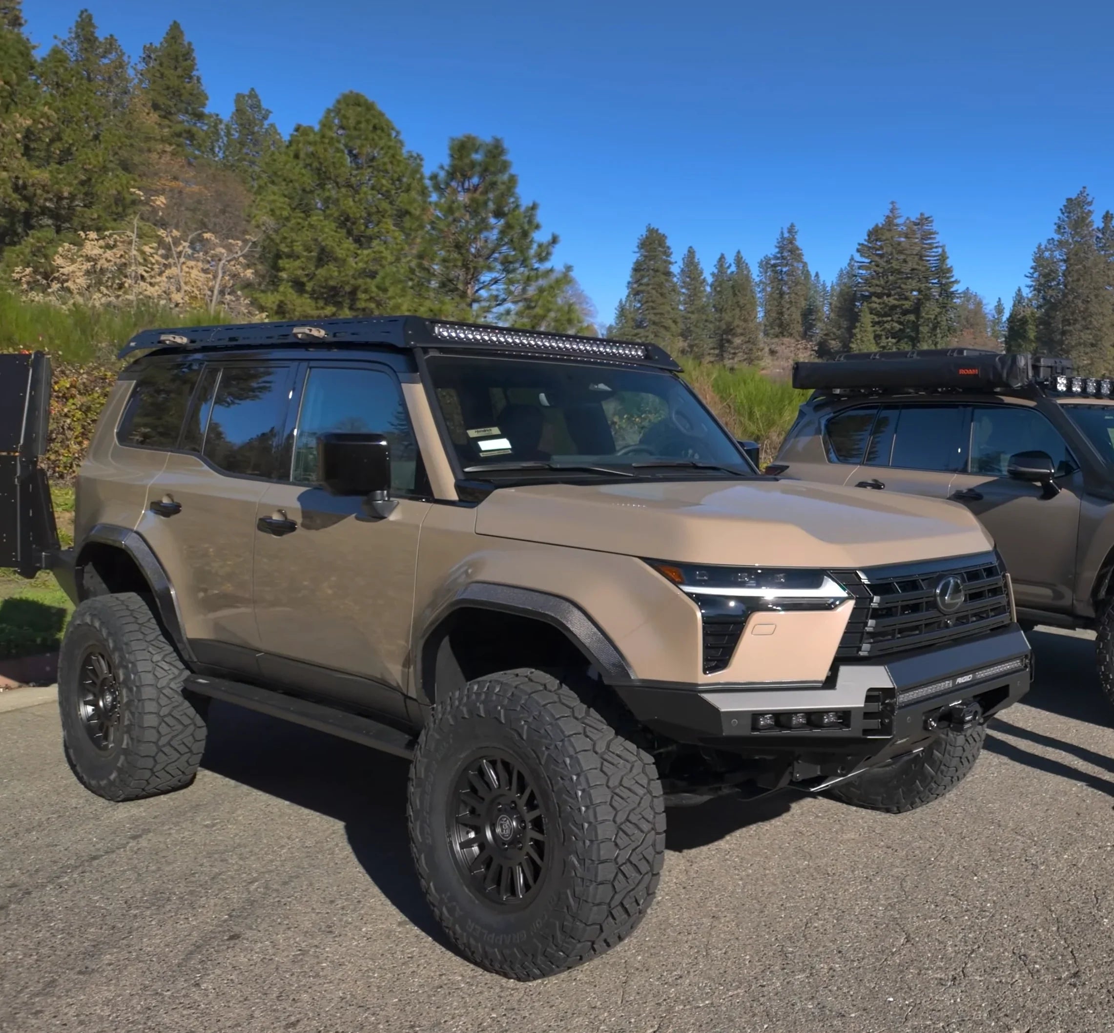 Dissent_GX550_Flare - NVMOS