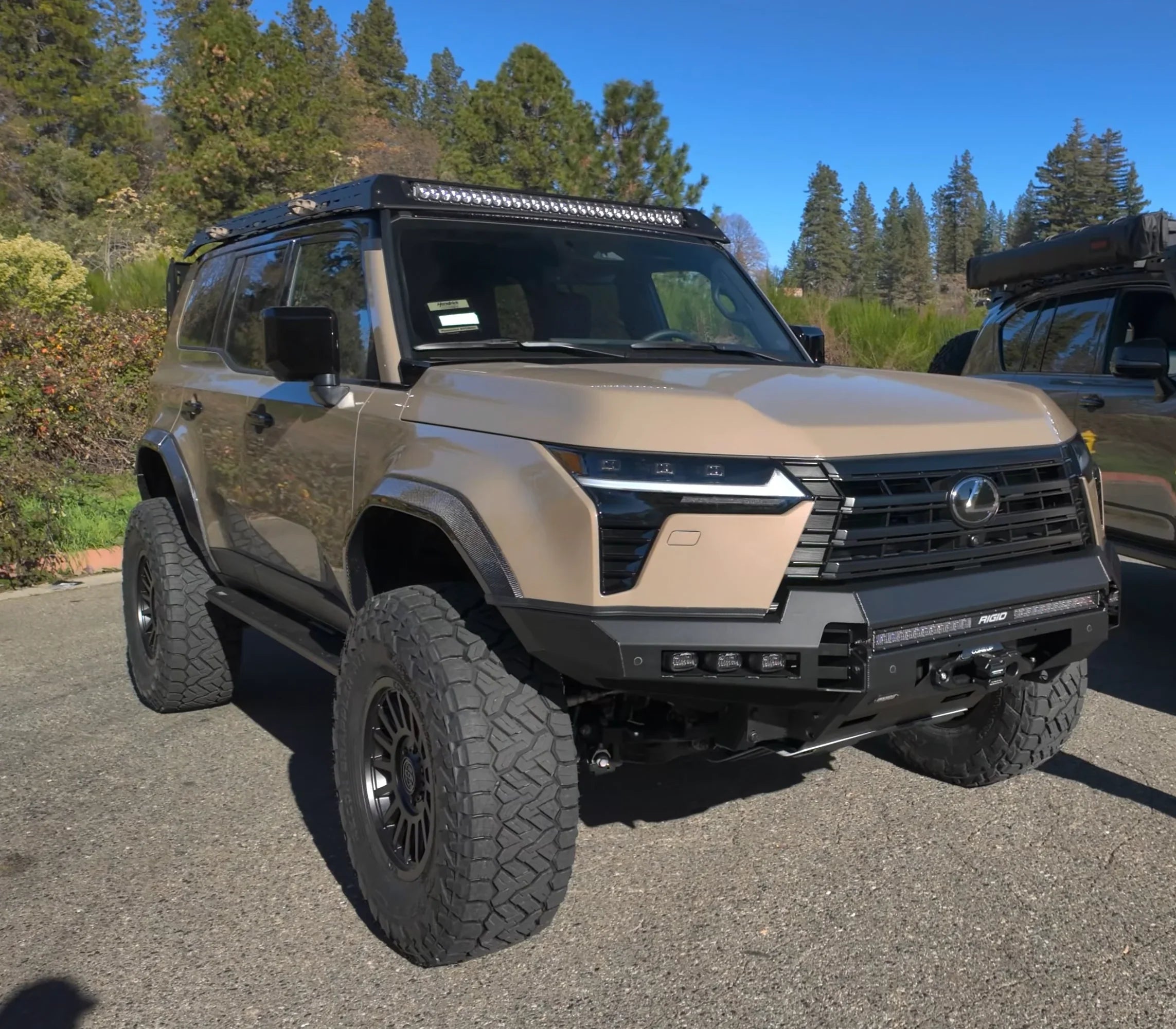 Dissent_GX550_Flare2 - NVMOS