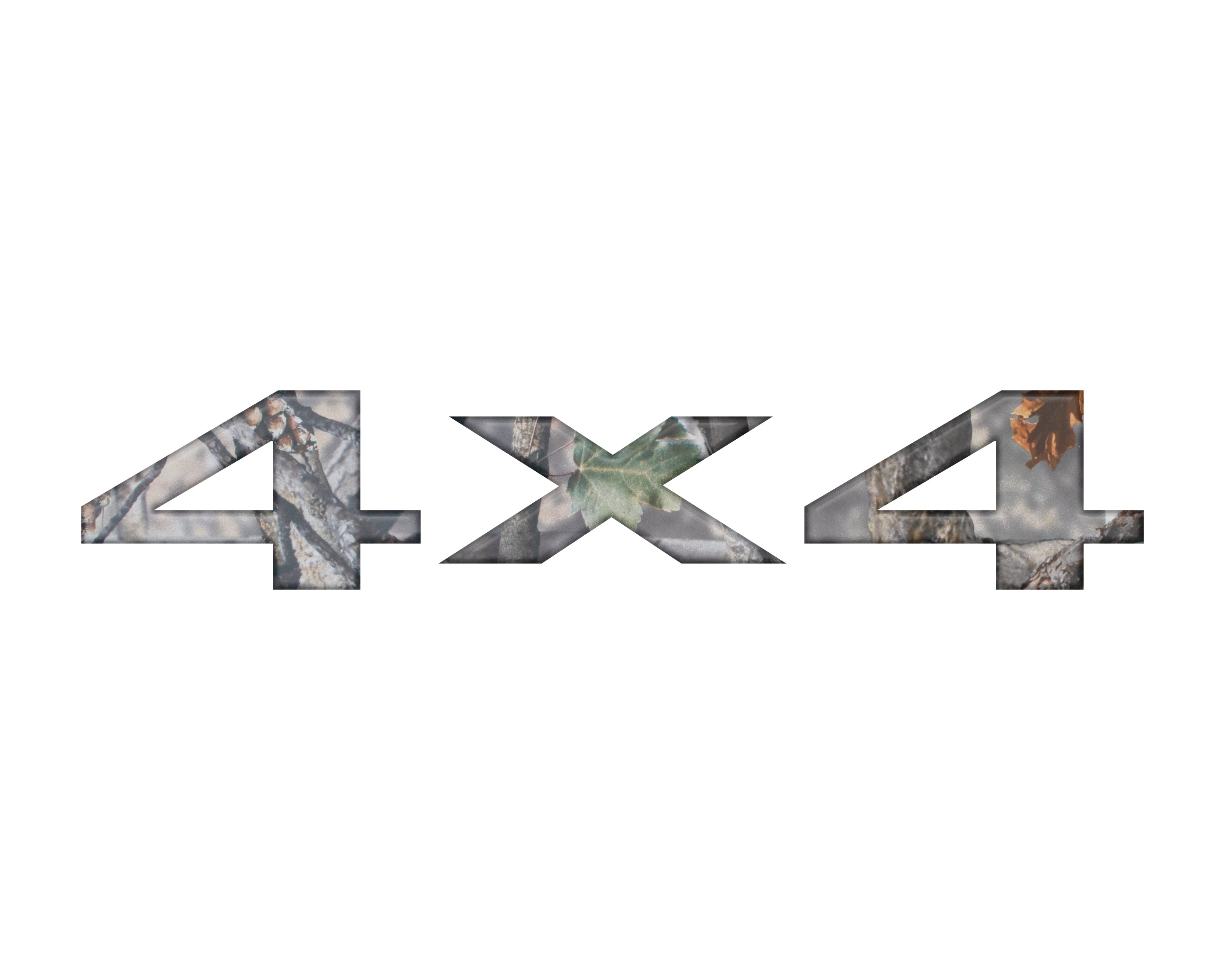FXF001-CAM-M - NVMOS