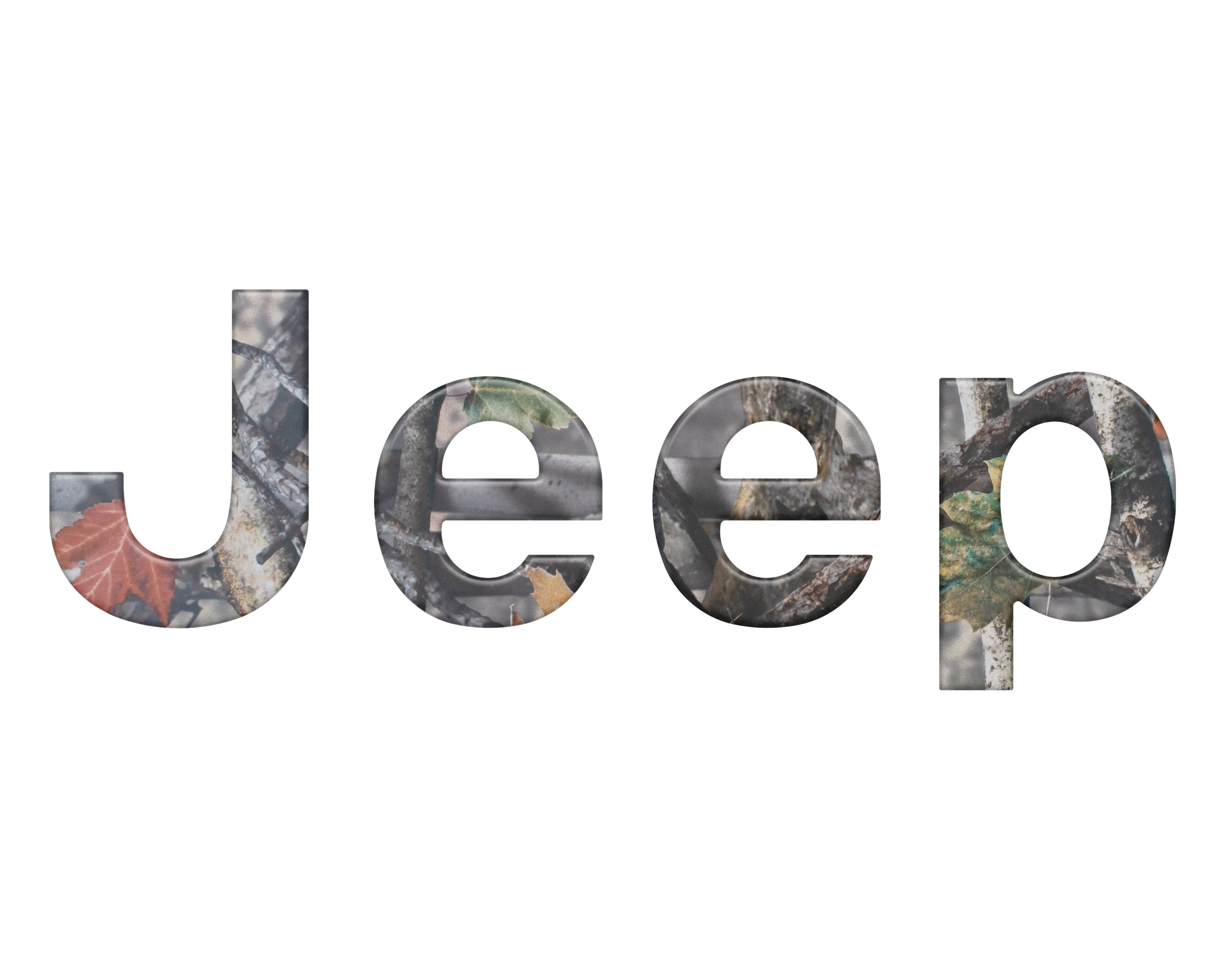 Tailgate Letter Overlays Fits 2019-2026 Jeep Gladiator