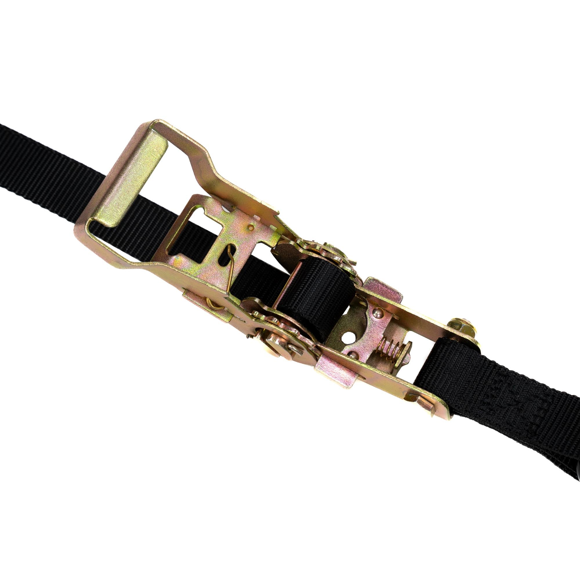 MotoTote Universal Tie Down Bundle