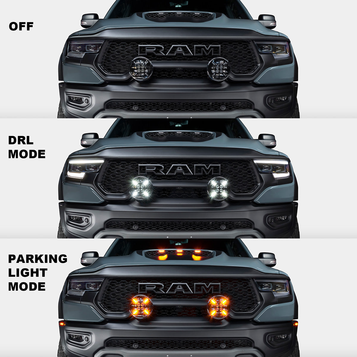 ORACLE_led_RAM_trx_Spot_Light - NVMOS