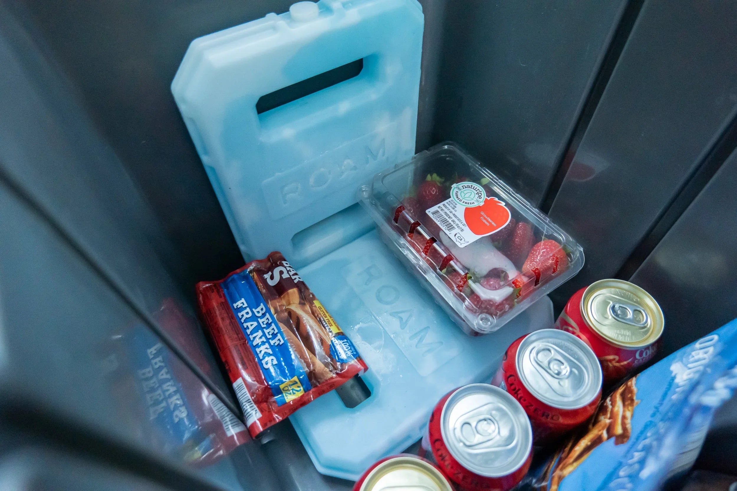 Cooler with ice packs, beef franks, strawberries, Coke cans for overlanding camping