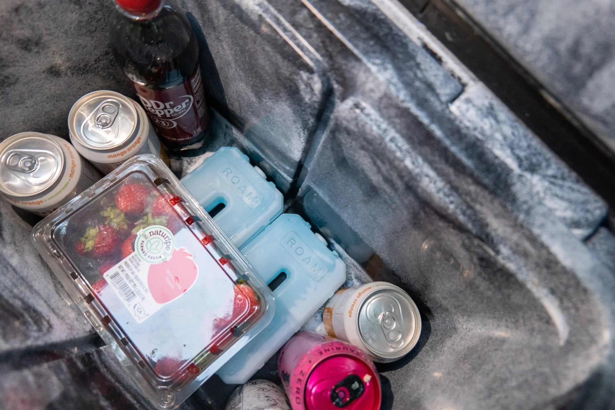 Overland cooler with ice packs, drinks, and fresh strawberries, ideal for camping gear.