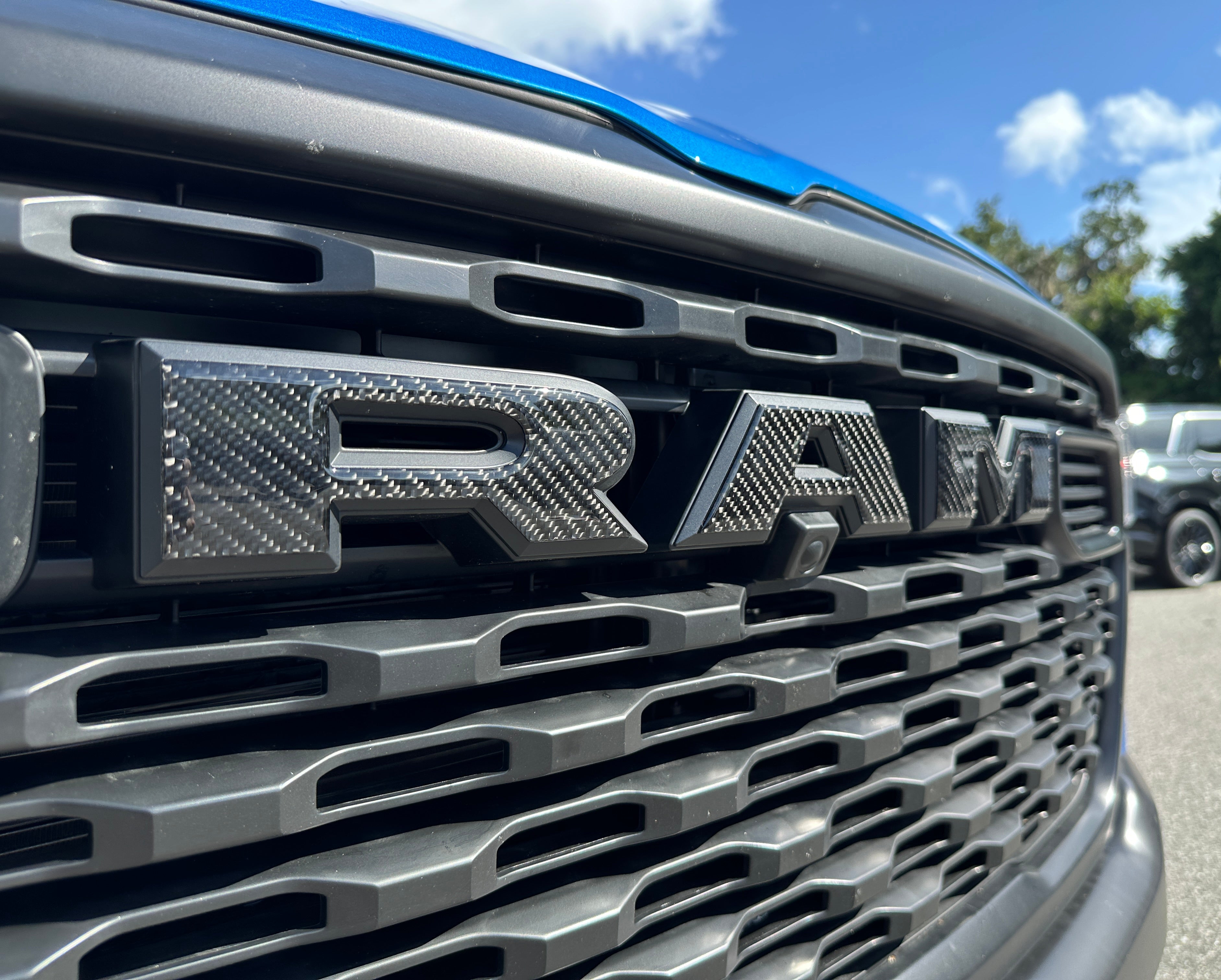 RAM005-DCF-G - NVMOS