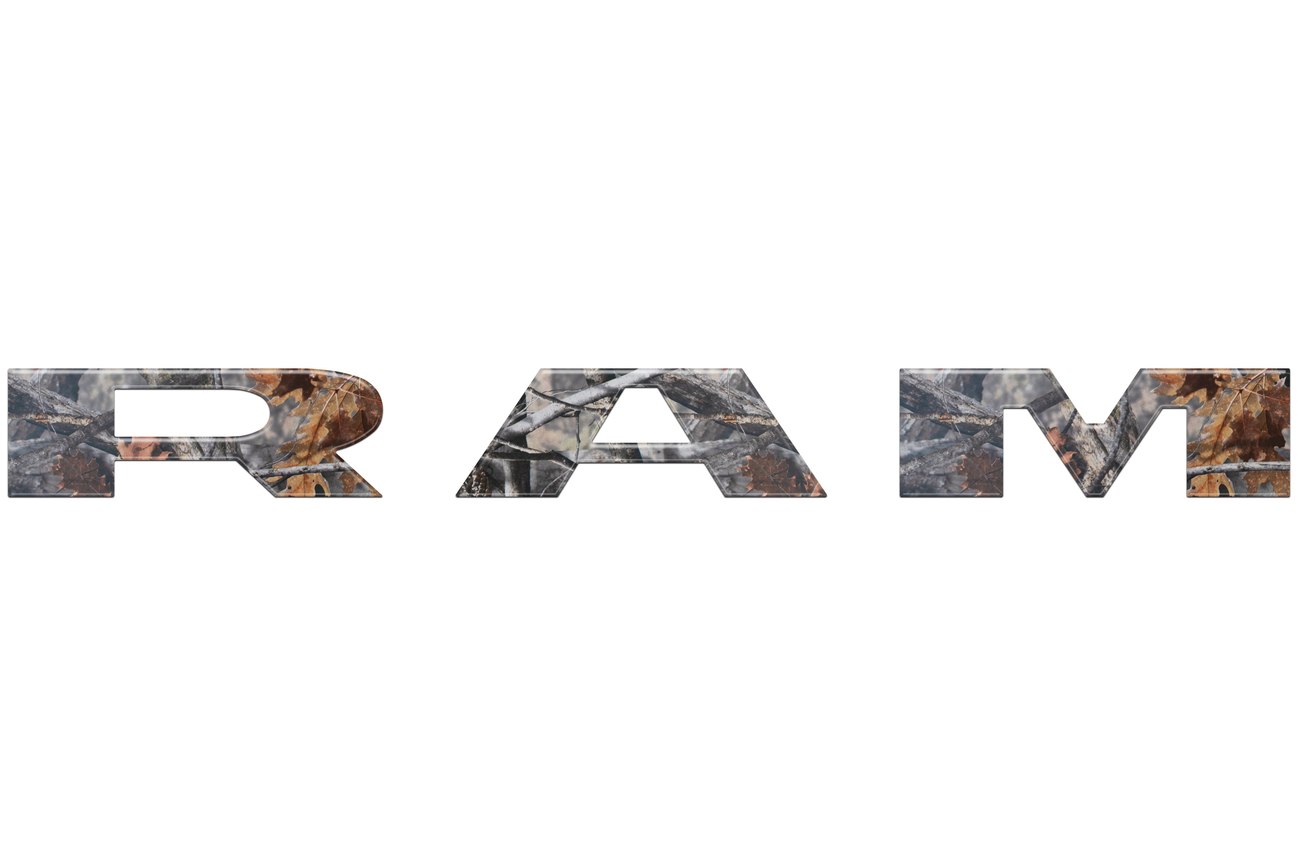 RAM018-CAM-M_0bf964dc-1ae5-478d-a2b6-b6aaa9bb7aa1 - NVMOS