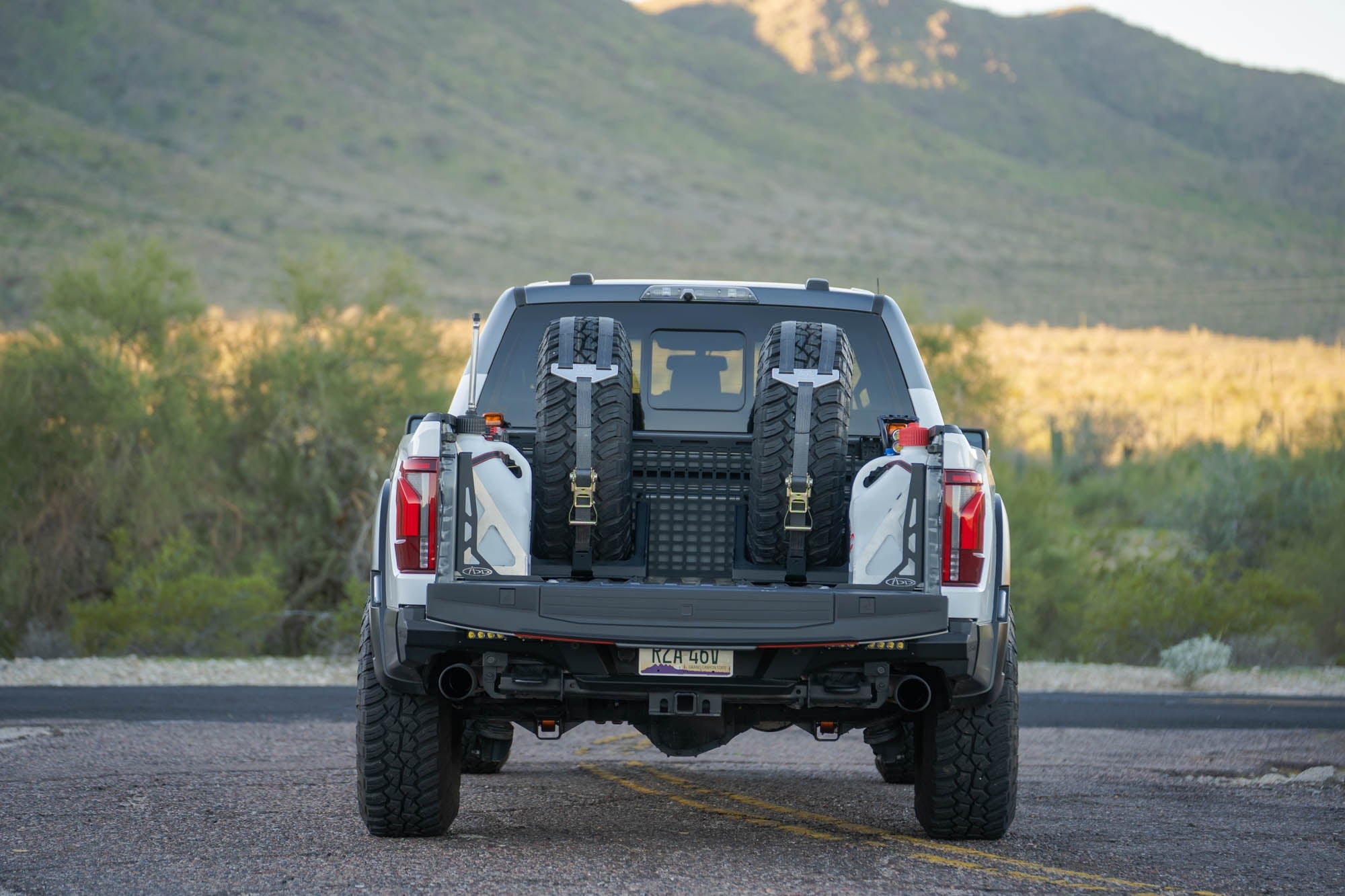 Raptor-South-Mountain-28 - NVMOS
