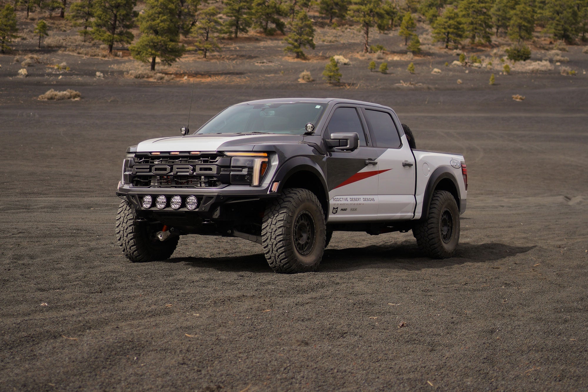 Raptors-cinder-hills-az-17 - NVMOS