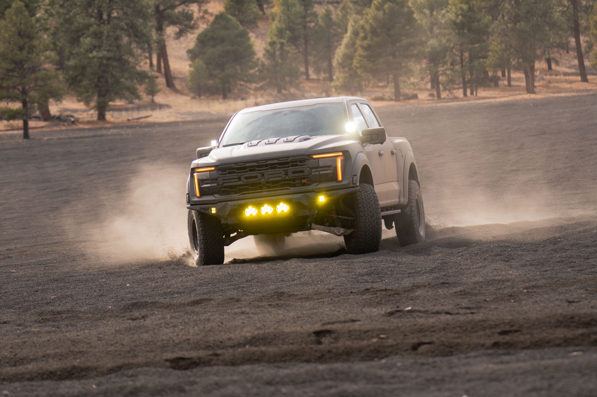 Raptors-cinder-hills-az-19 - NVMOS