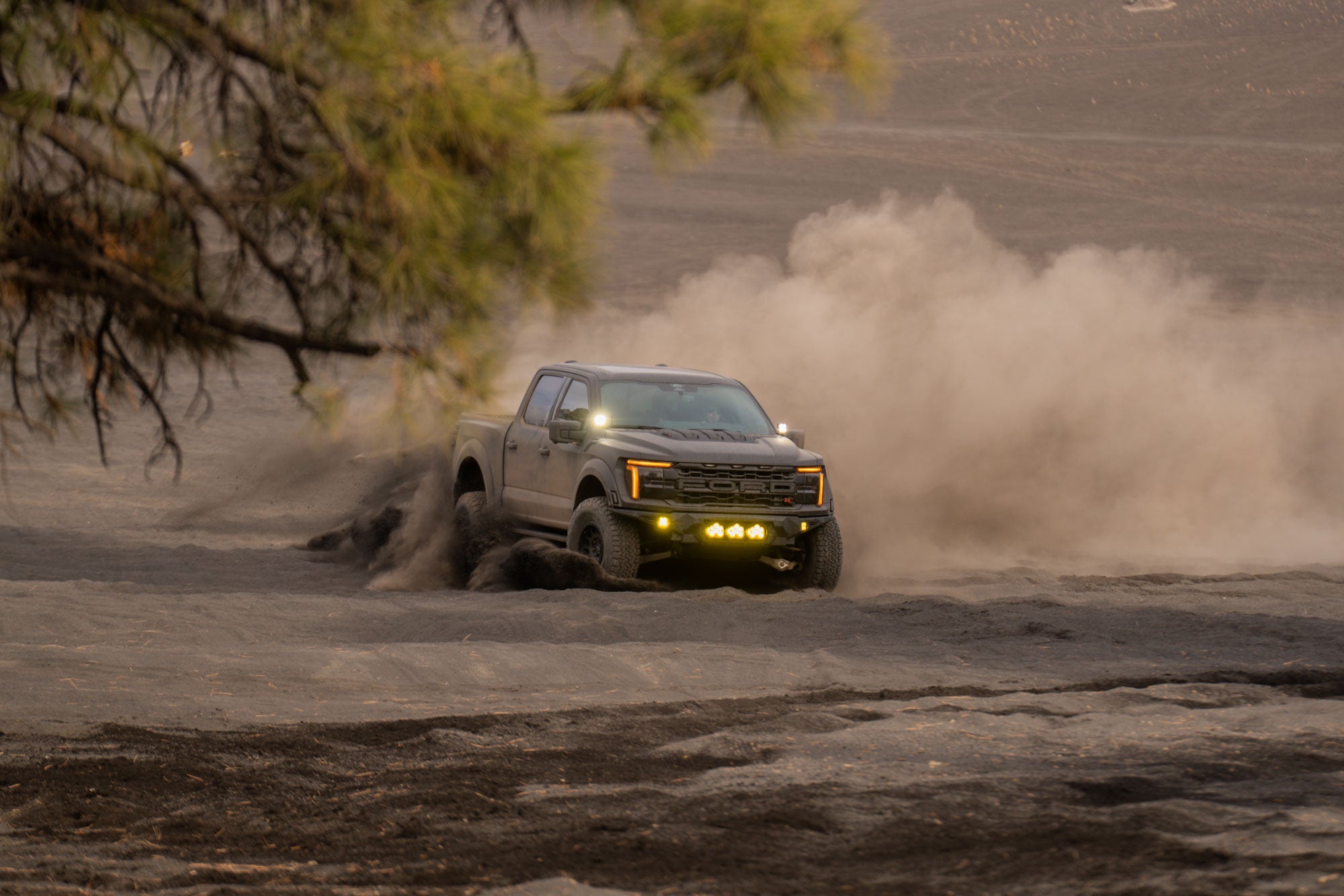 Raptors-cinder-hills-az-34 - NVMOS