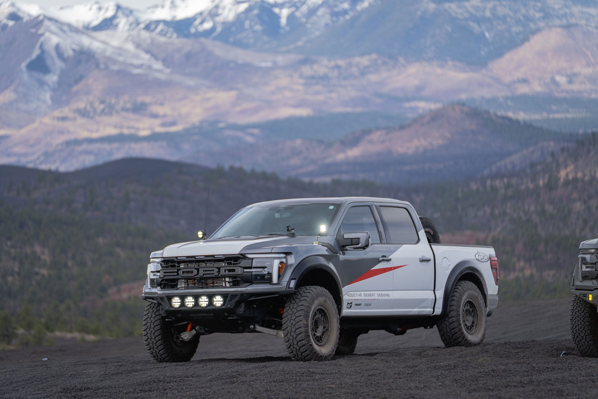 Raptors-cinder-hills-az-8_b67c482f-e5f9-4e9e-b839-358c98ea3f5f - NVMOS