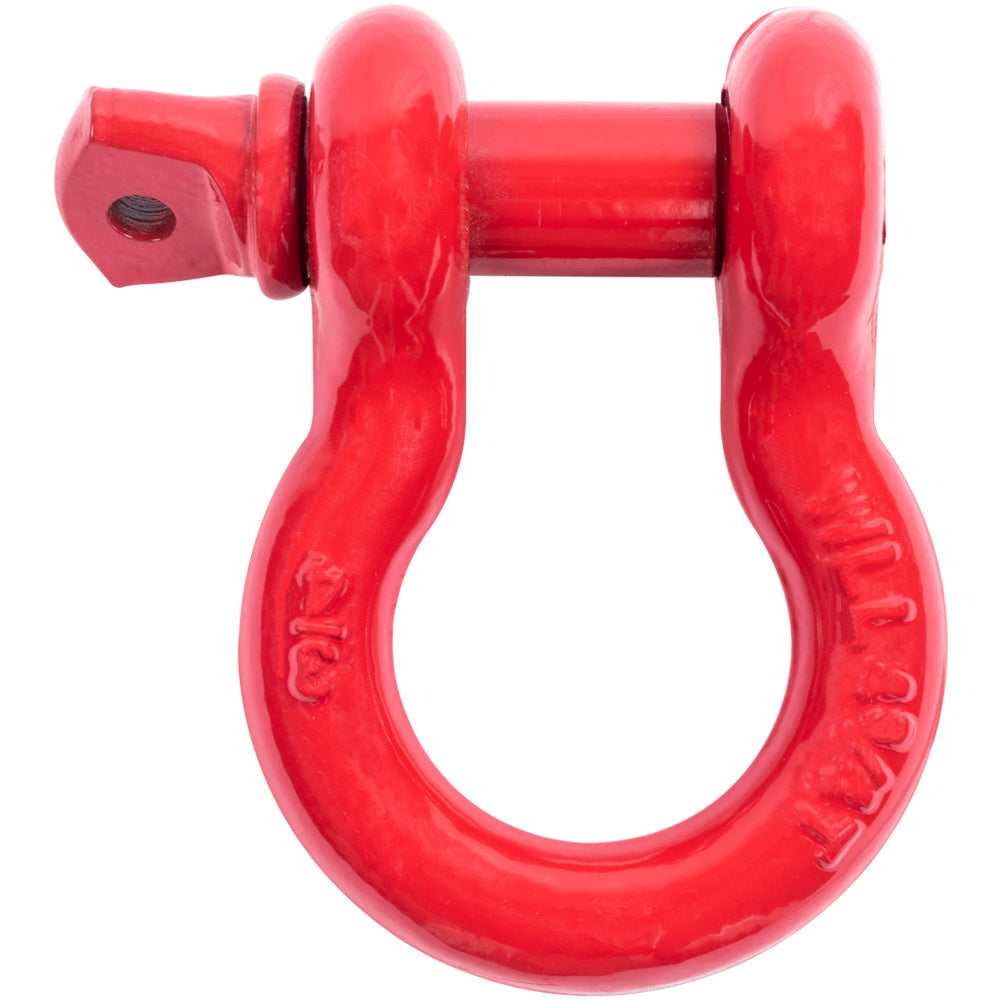 Agency 6 3/4 inch D-ring shackle for universal fit