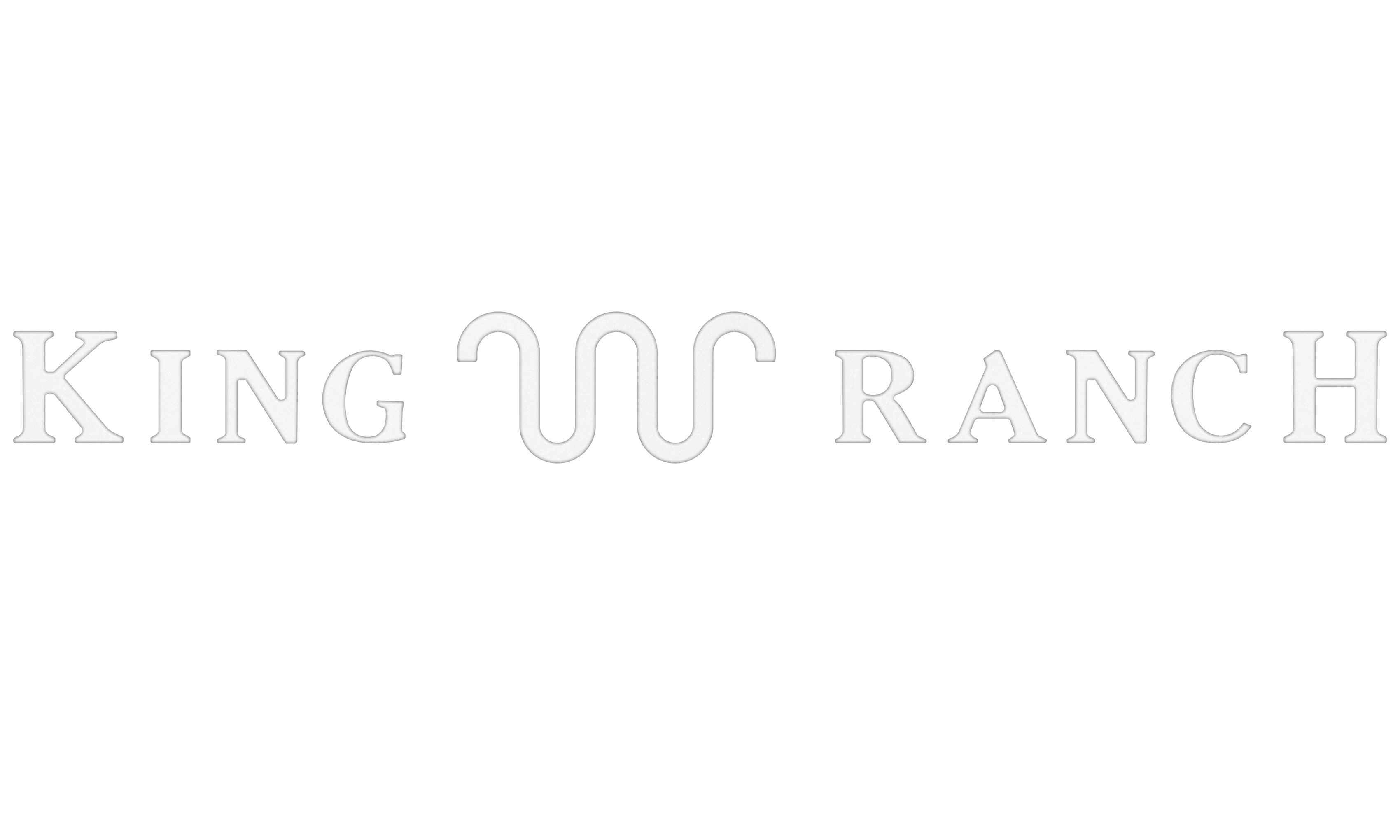 Tailgate Letter Inserts Fits 2023-2026 Ford Super Duty King Ranch