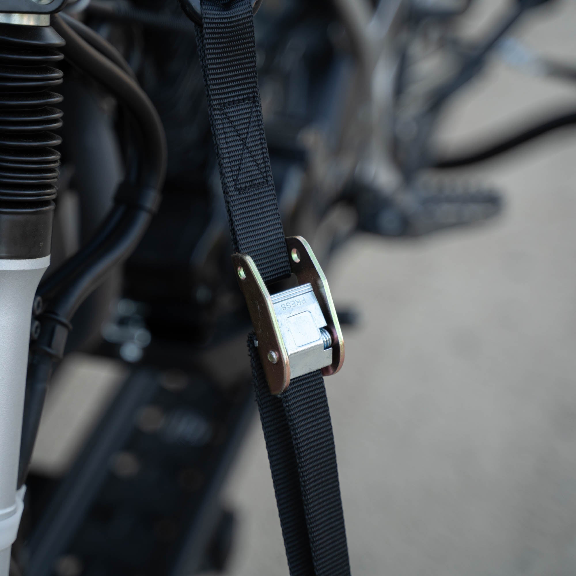 MotoTote SafeLoop Cam Buckle Tie Downs