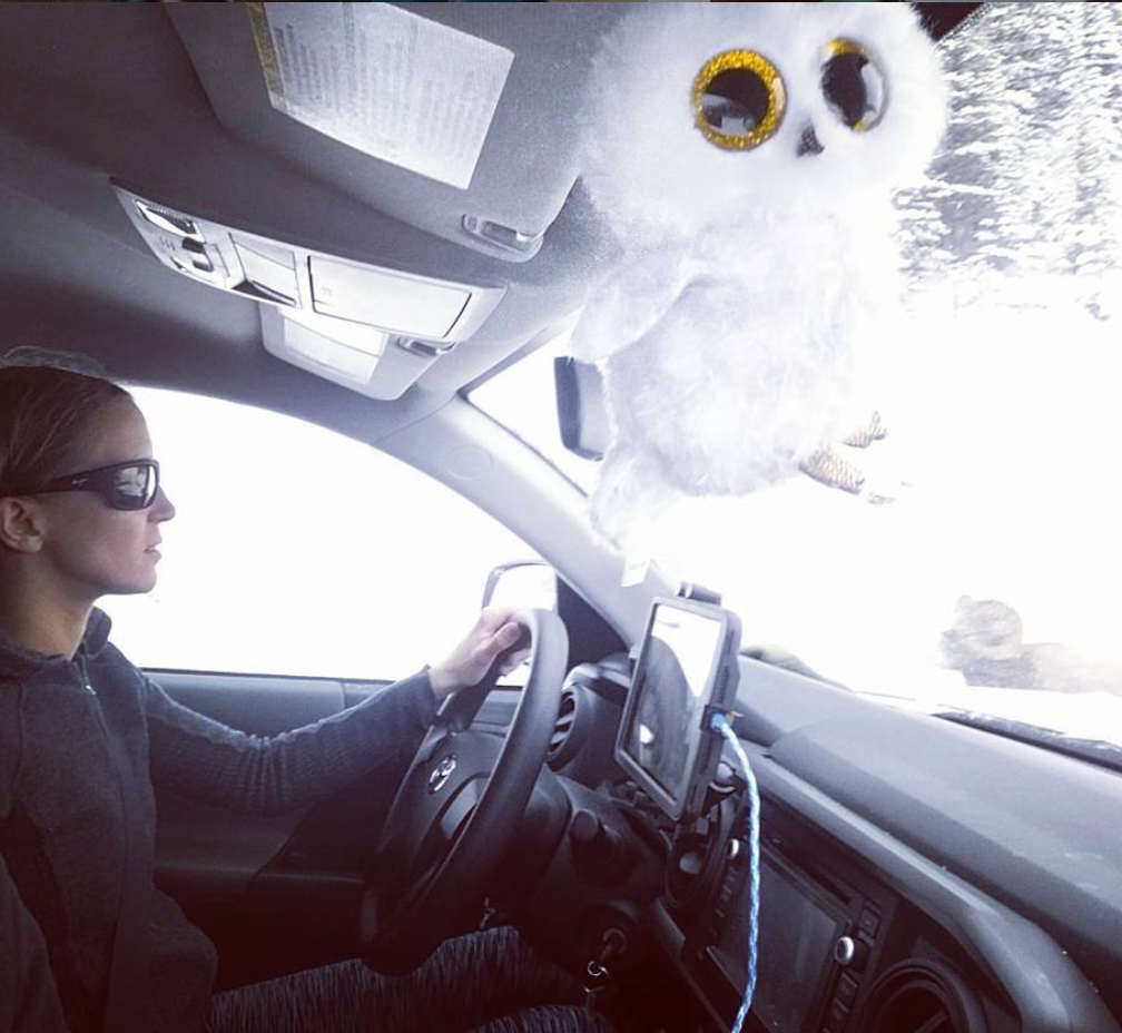 Hondo Garage Un-Holey Tacoma Dash Mount