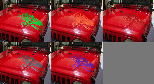 TJDecalColors3SITE - NVMOS