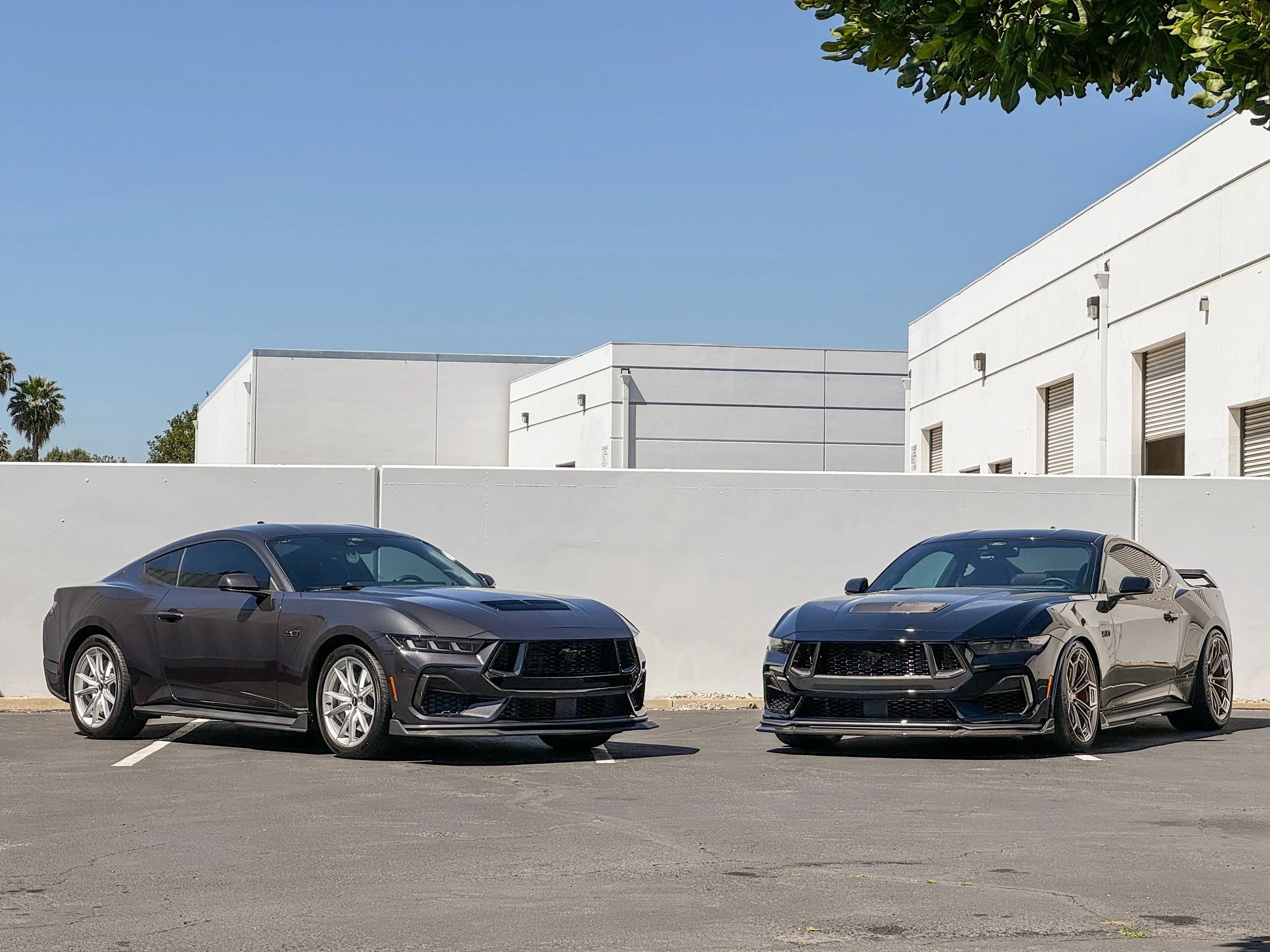2024-Current Ford Mustang Splitter Extension
