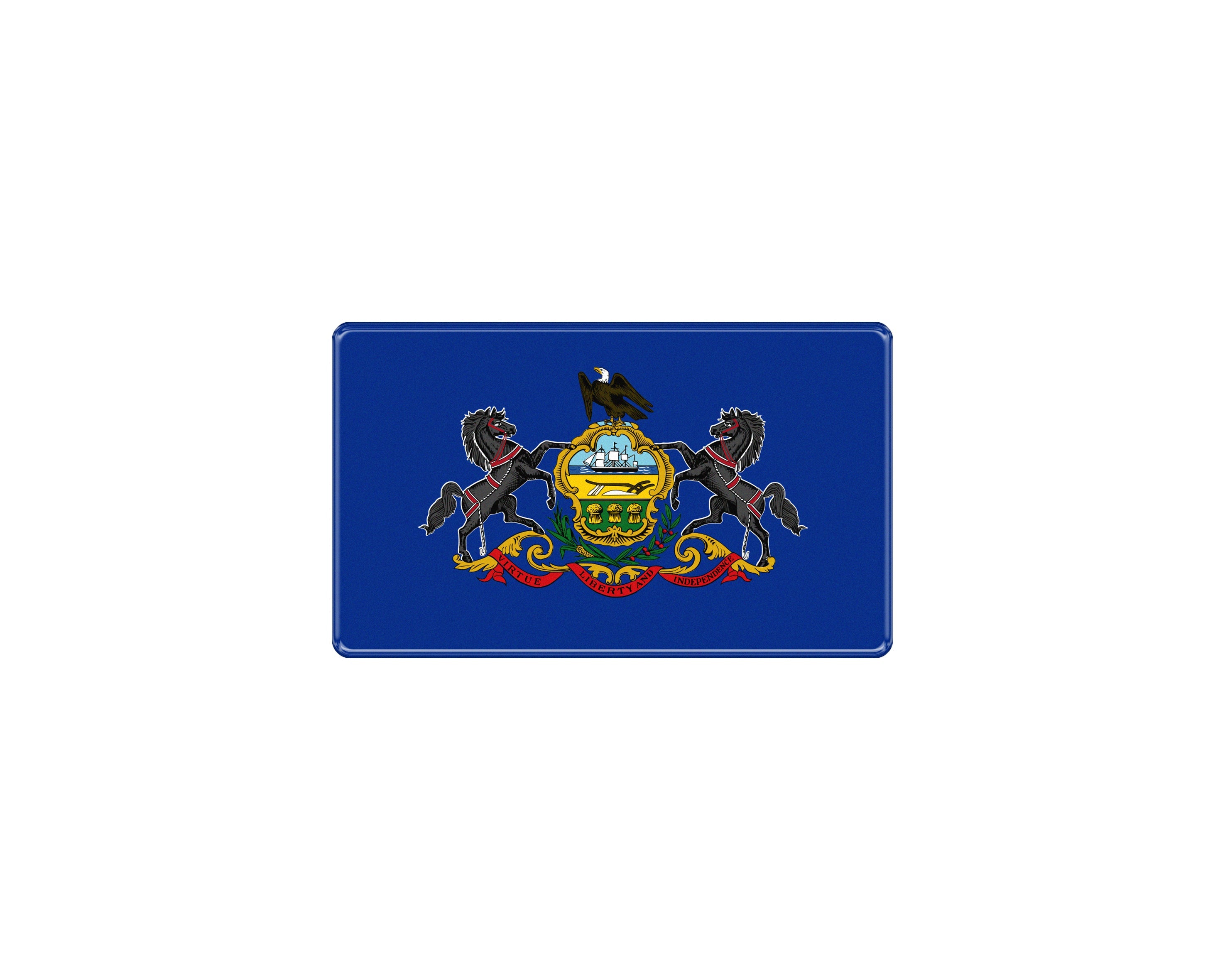 Tufskinz.com USA Flag Emblem Fits - Universal - SKU USA001-PWT-135-G - USA001 PWT 132 G 20 - off-road overland product image