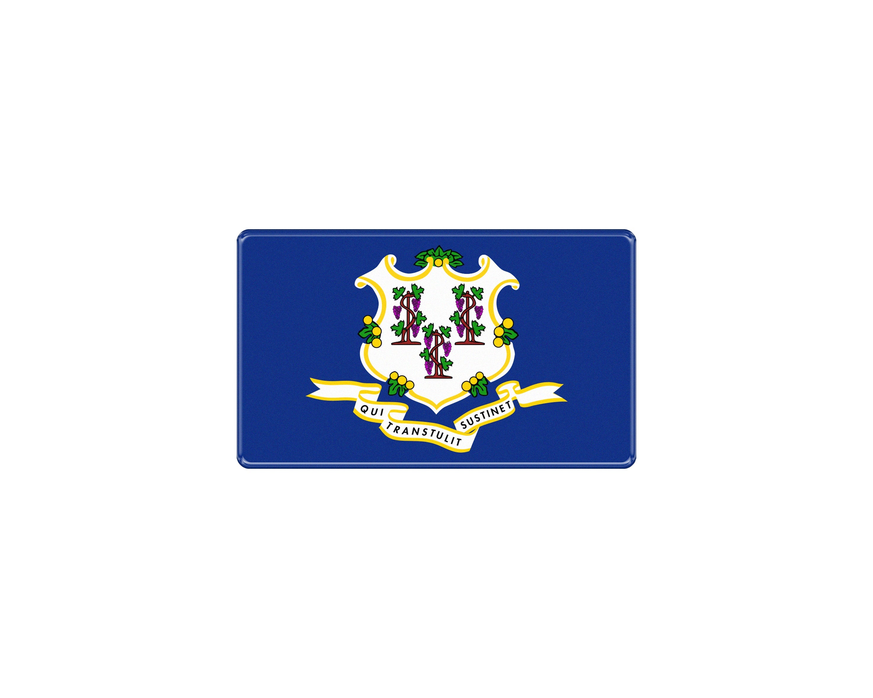 Tufskinz.com USA Flag Emblem Fits - Universal - SKU USA001-PWT-123-G - USA001 PWT 134 G 20 - off-road overland product image