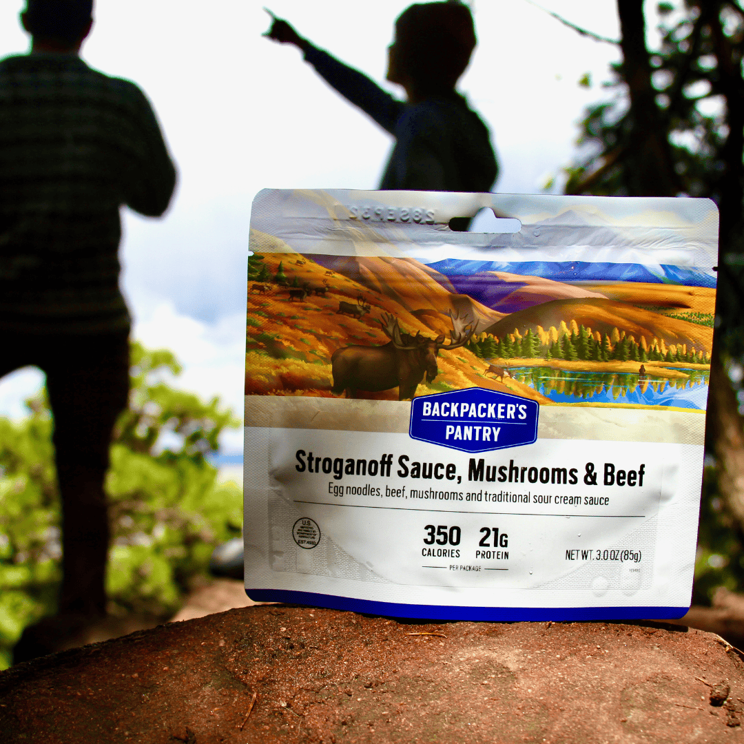Backpacker's Pantry Stroganoff Sauce, Mushrooms, and Beef