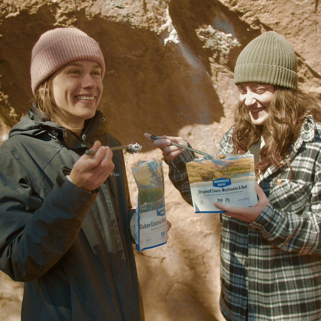 Backpacker's Pantry Stroganoff Sauce, Mushrooms, and Beef