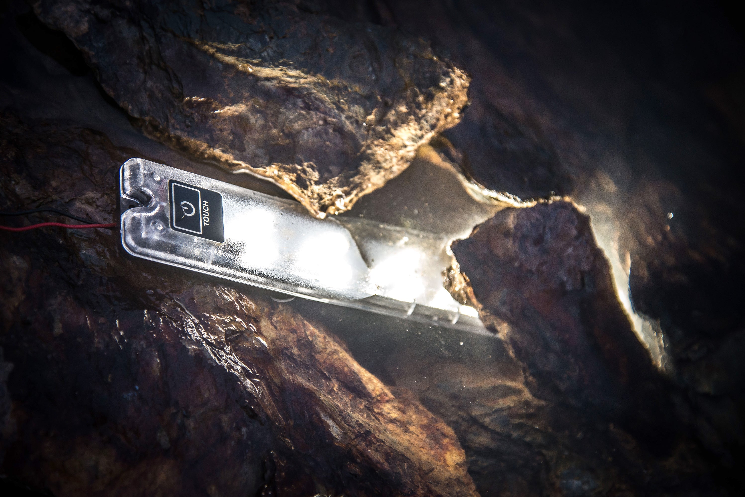 Equipt Hard Mount Dual Level Light