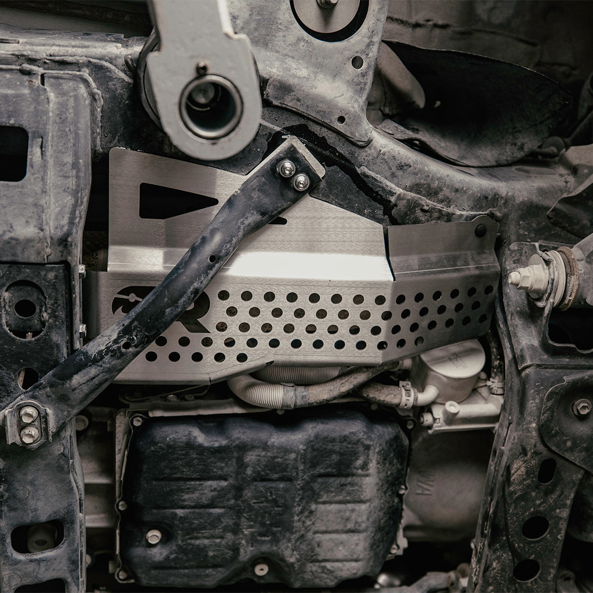 crle-cat-guard_0004_067A4467-Edit - NVMOS