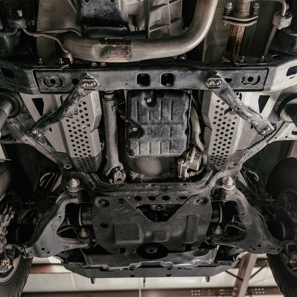 crle-cat-guard_0005_067A4448-Edit - NVMOS
