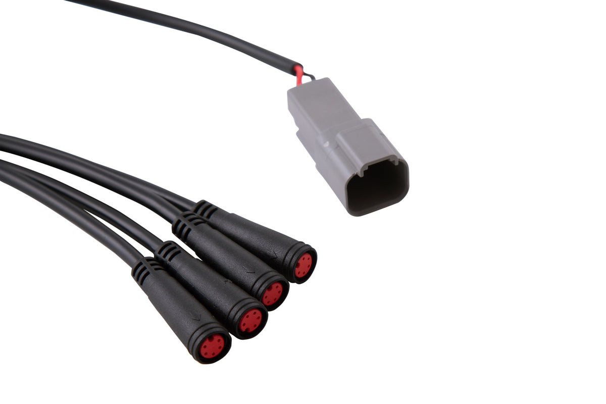 Diode Dynamics RGBW 24-Key M8 RF Controller for trucks and SUVs – connectors