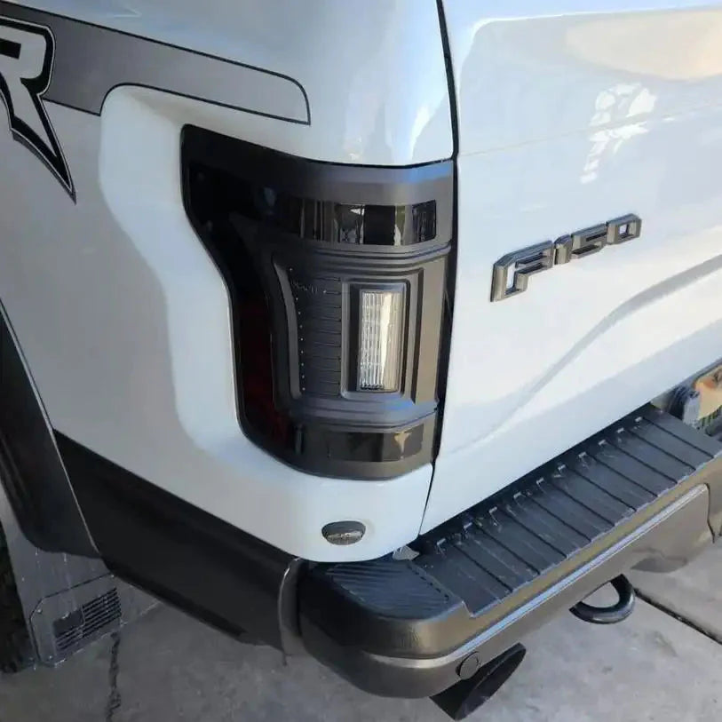 f150_raptor_flush_tail_lights_457c7df0-4edd-4fe4-bad7-5580723cebff - NVMOS