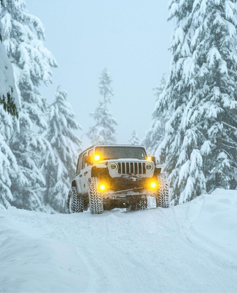 GateKeeper Off-Road 2018+ Jeep JL JT Gladiator Wrangler Steerable Knuckle Pod Light Mounts for Dana 30/44 Axles