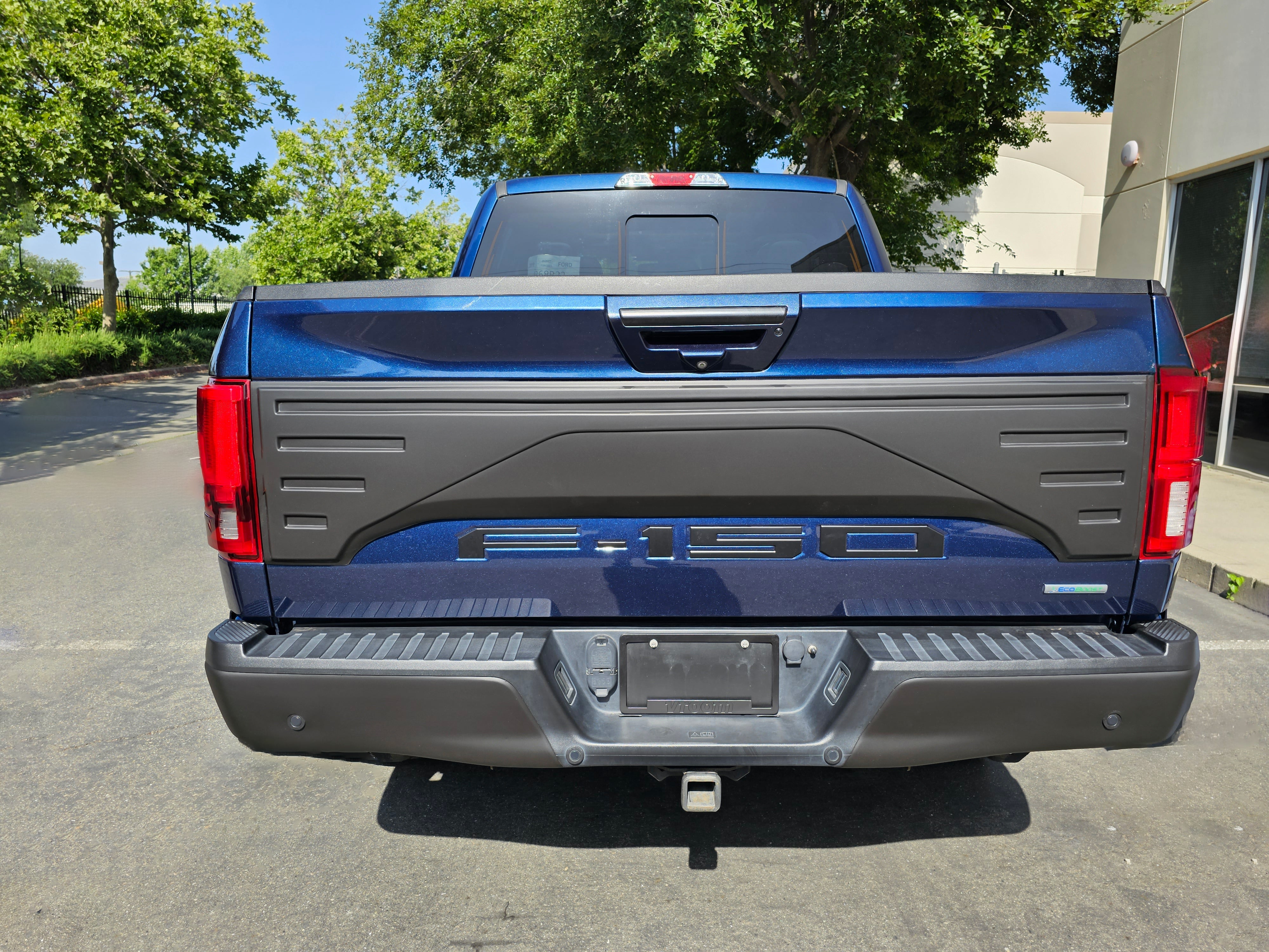 2015-2020 F150 Tailgate Applique