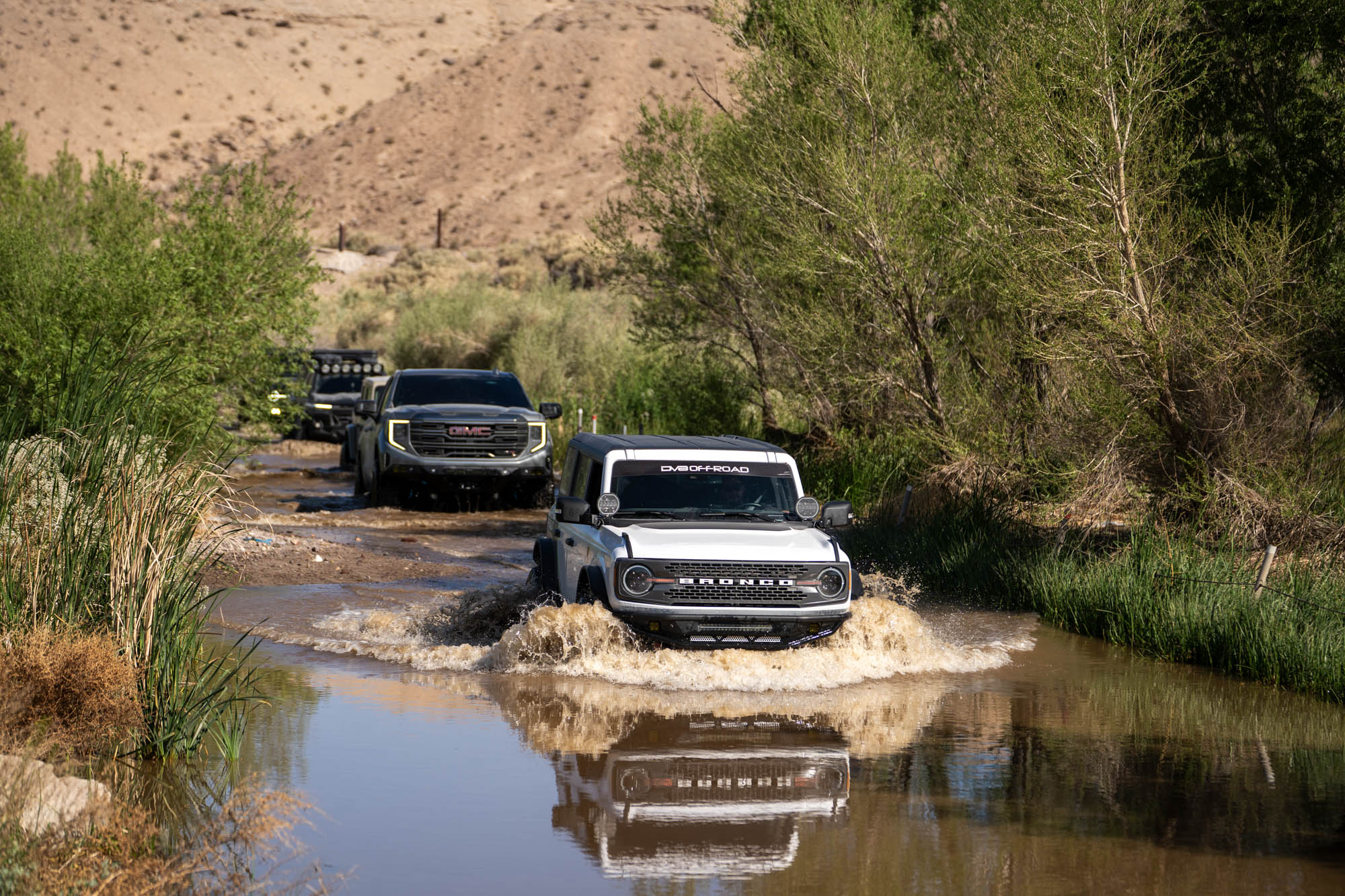 mojave-trail_67 - NVMOS